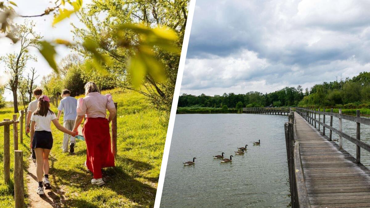 Twee Limburgse gemeenten strijden mee voor titel ‘Wandelgemeente van het Jaar’