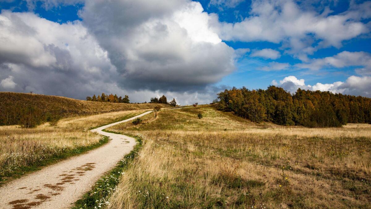 West-Vlaamse Zonnebeke klopt Limburgse concurrentie als wandelgemeente van het jaar