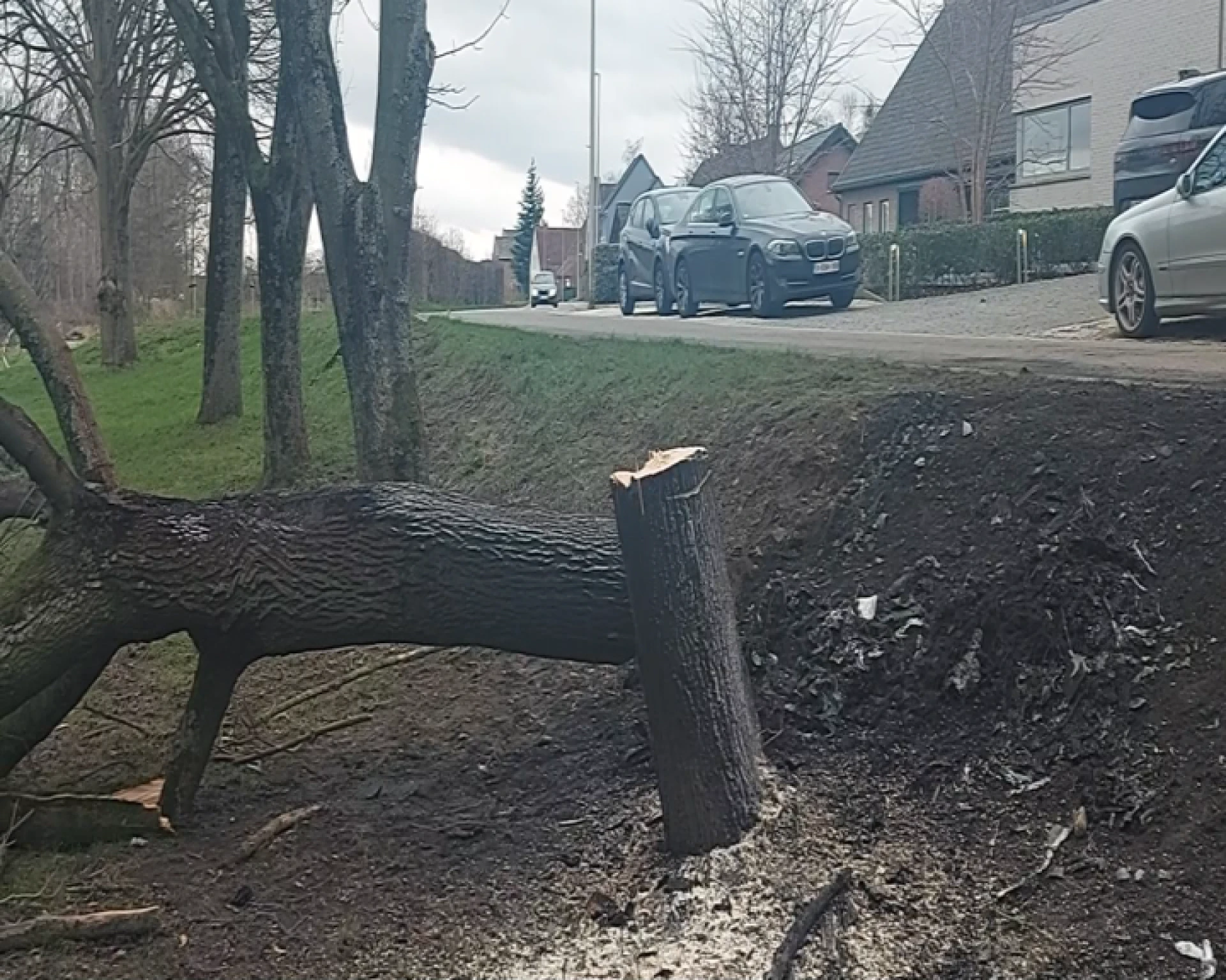 Passagier in Porsche met dronken bestuurder komt om in brandende auto