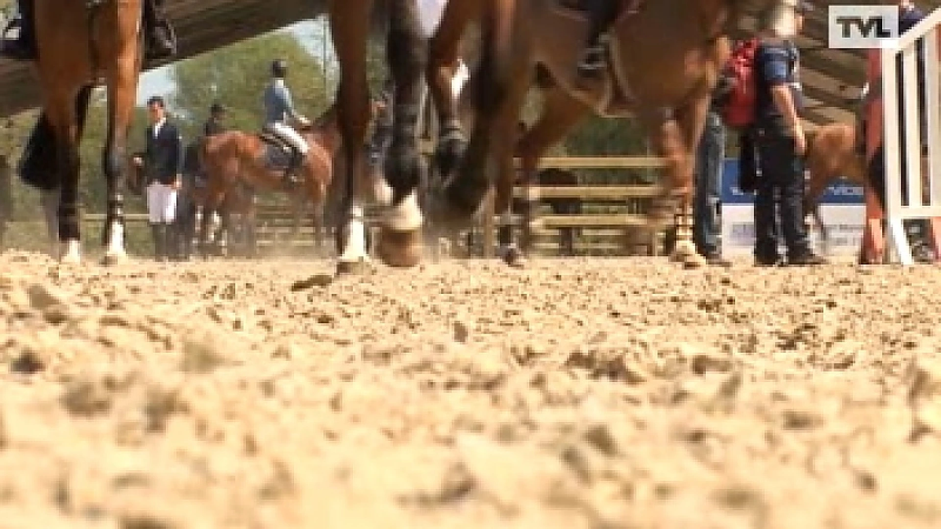 De familie Philippaerts op de jumping van Lummen