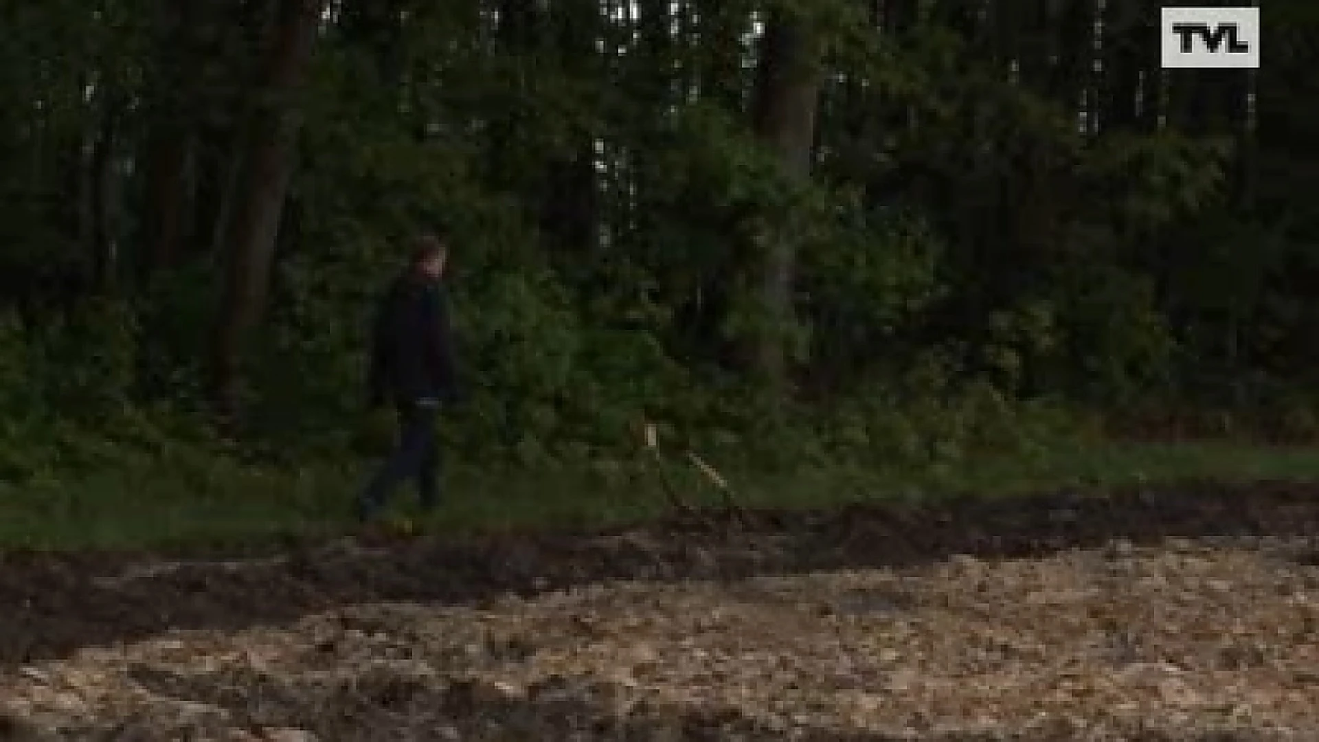 Zeven hectare grasland vernield in Diepenbeek