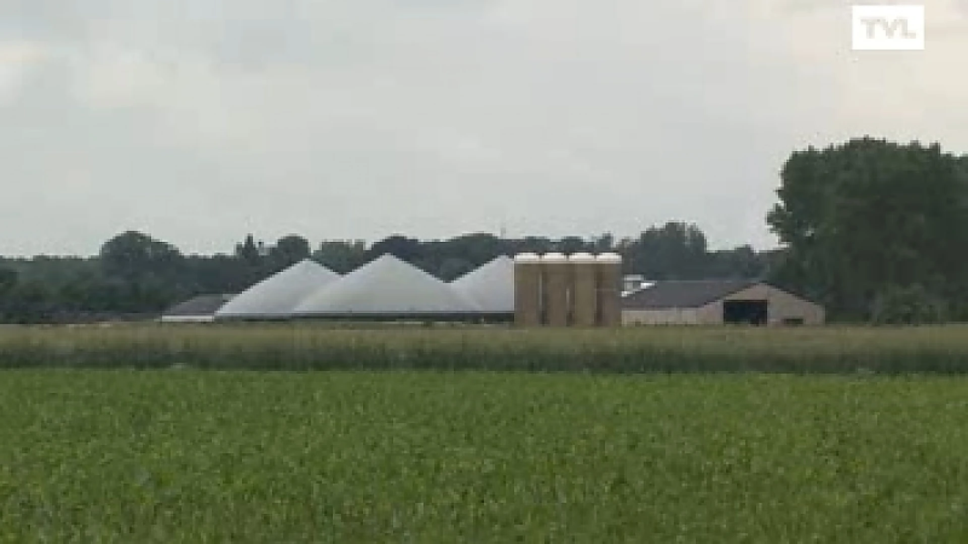 Raad van State vernietigt uitbreiding varkensbedrijf