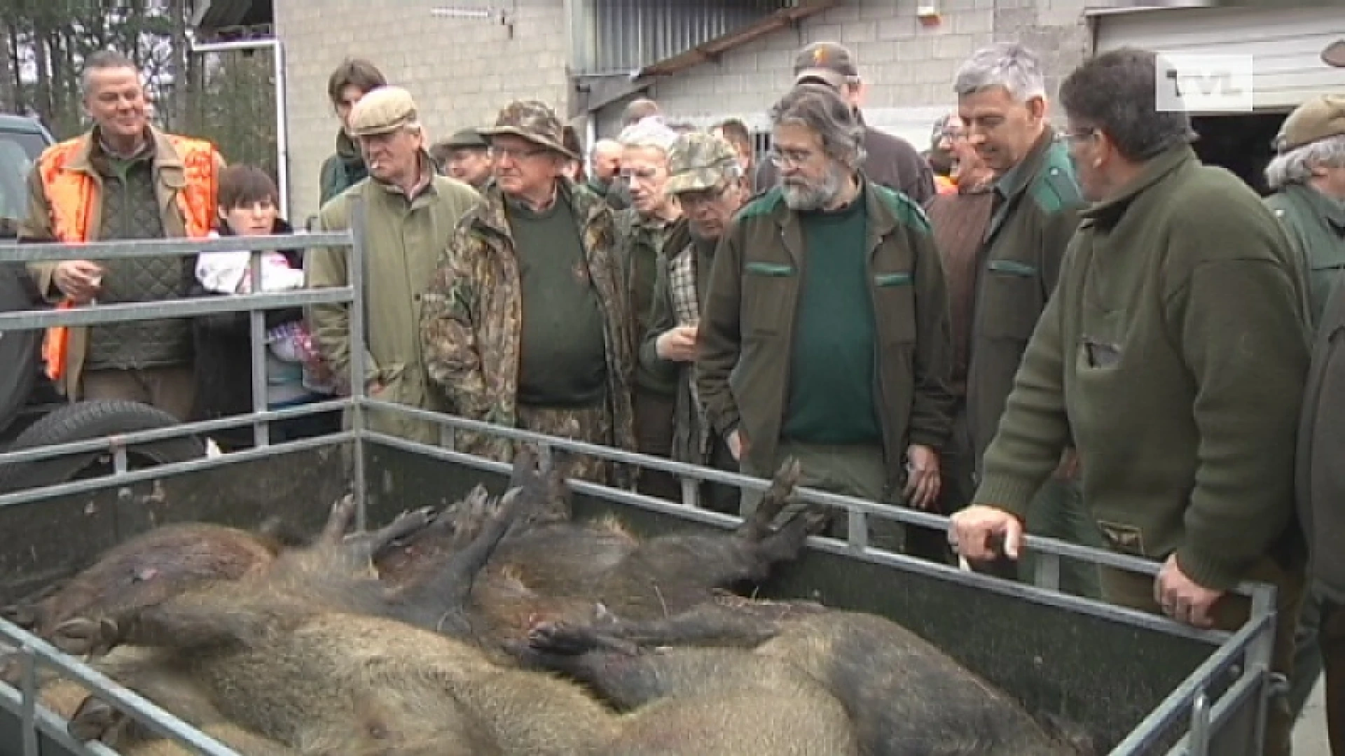 Jacht op everzwijnen met vallen en lokaas