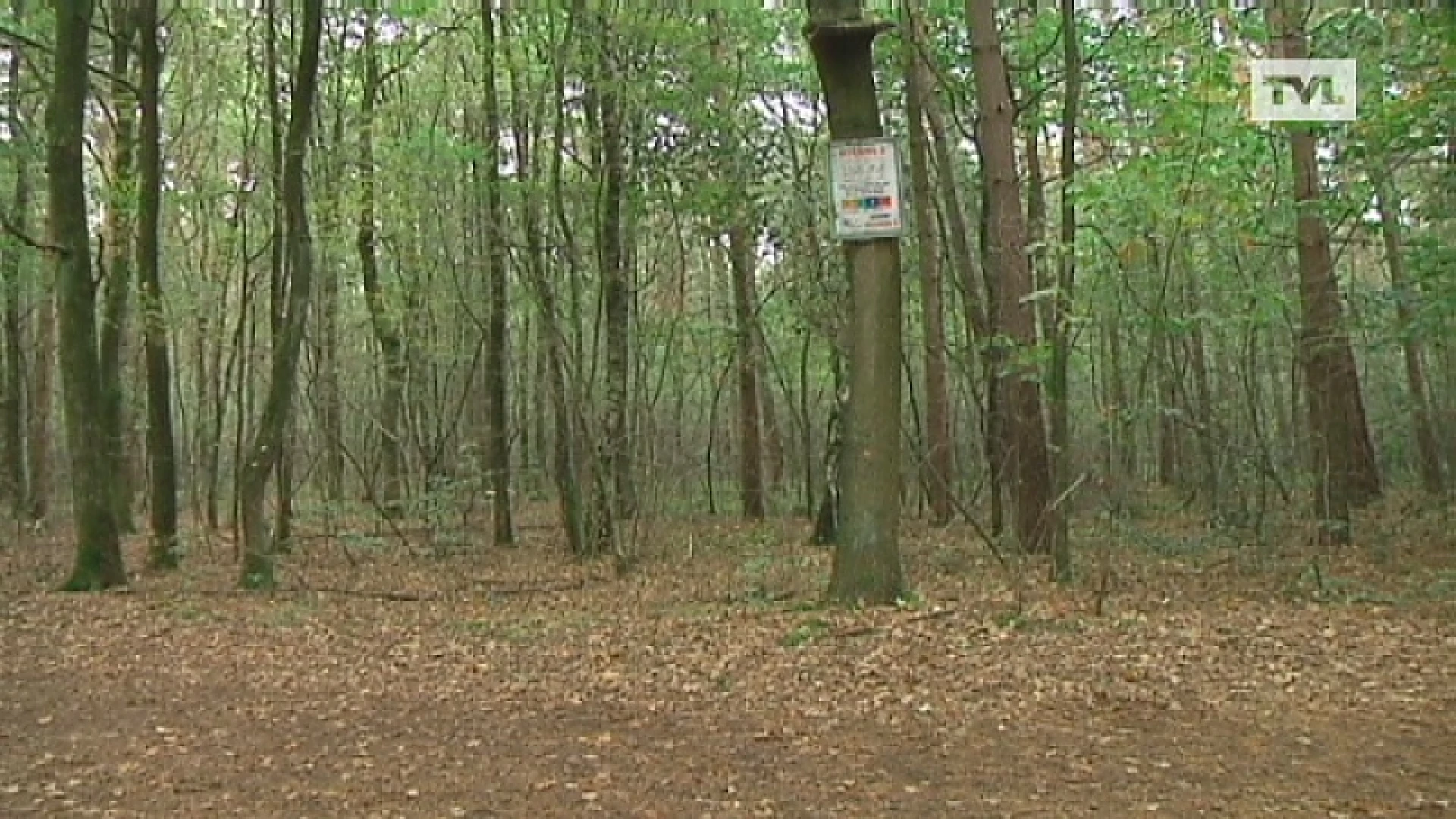 Geen poging tot ontvoering in Genk