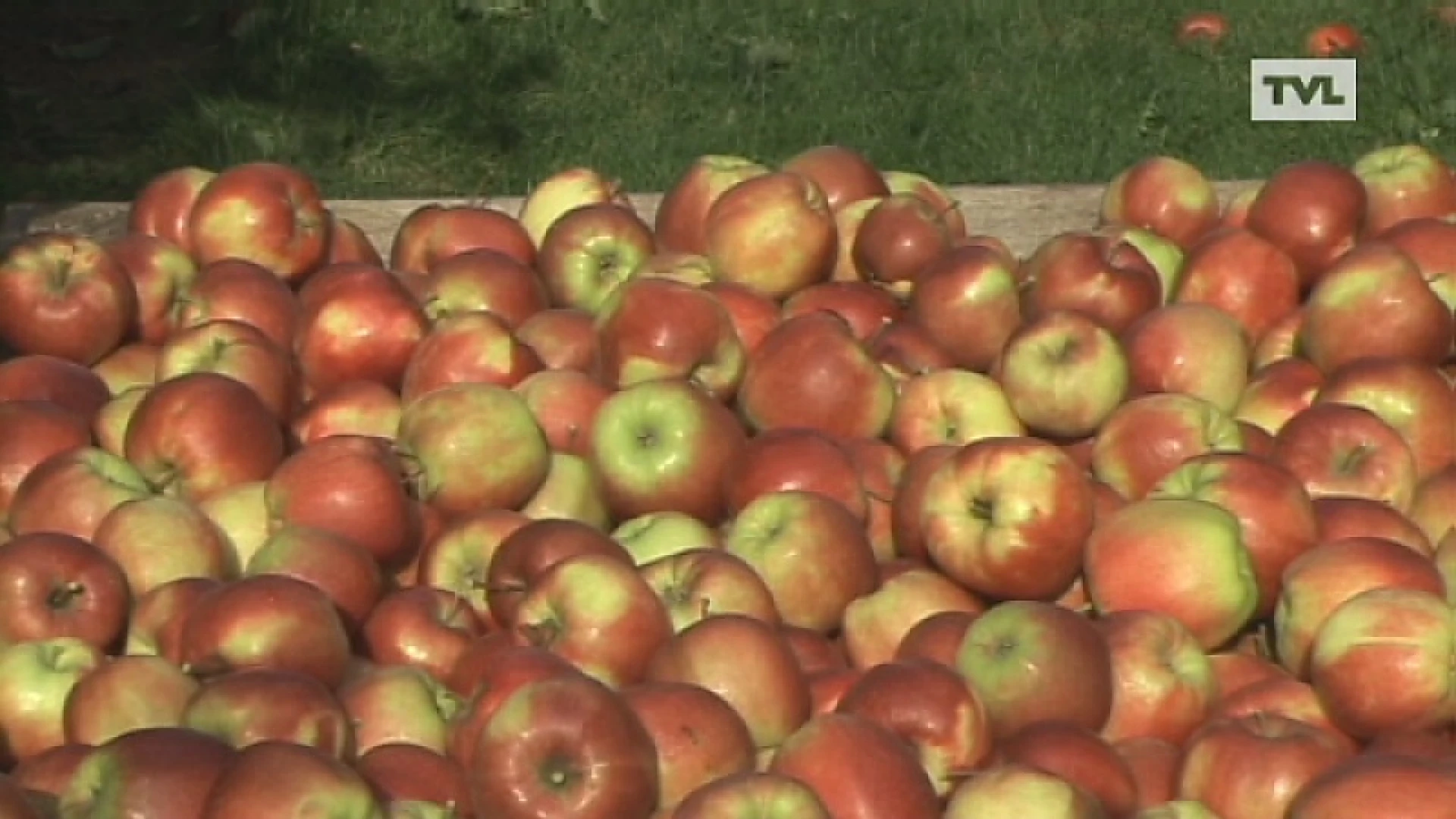 Provincie investeert 600.000 euro in fruitsector