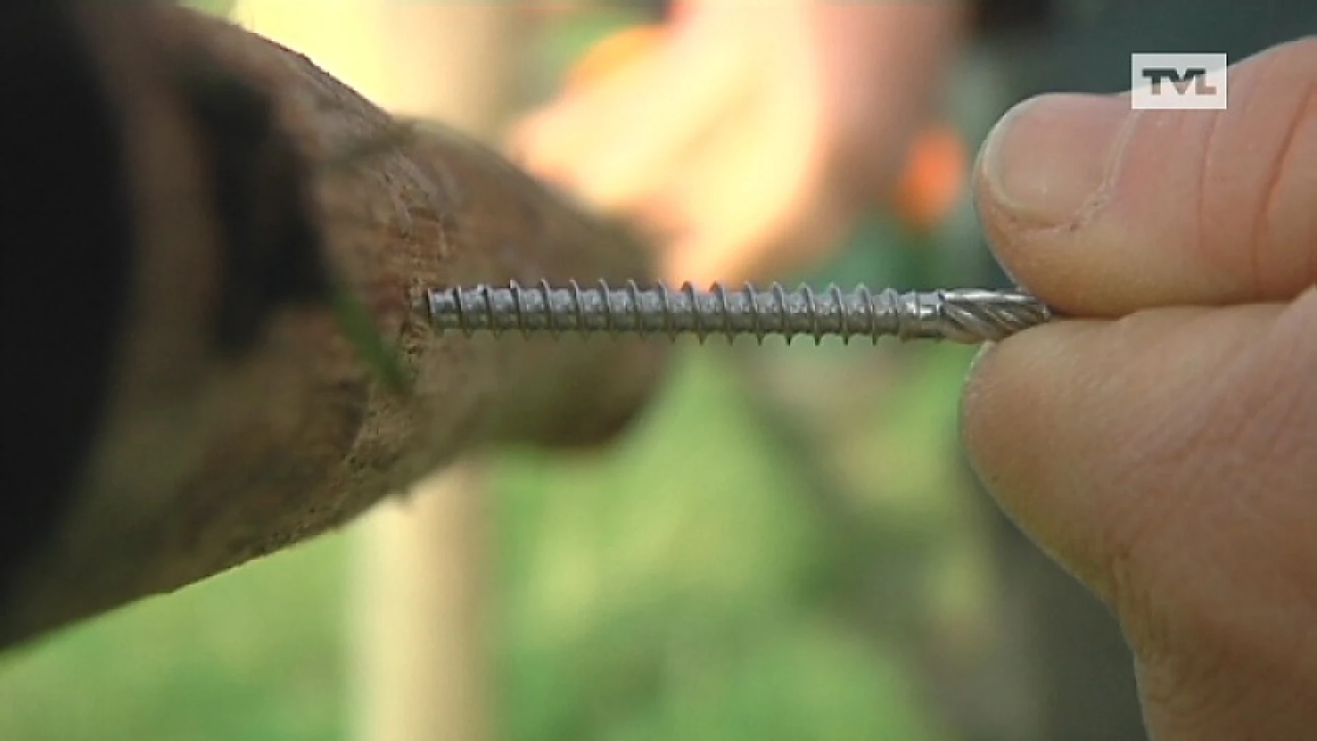 36 parkrangers in Limburg hebben werkzekerheid tot 2018