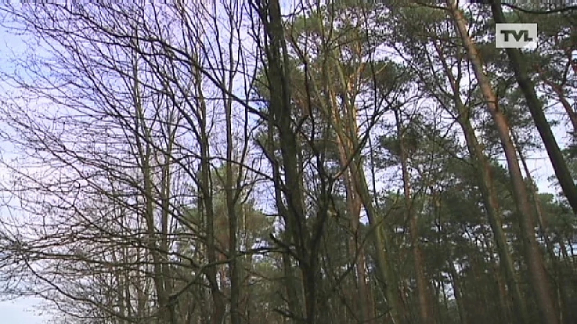 Zoekactie naar verdwaalde man in Zutendaal