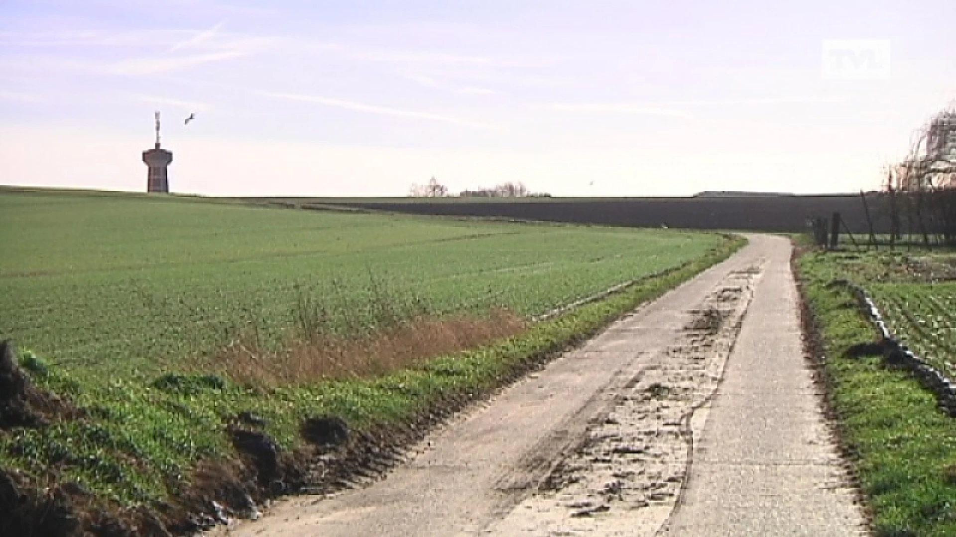 11 losgebroken honden vallen meisje aan in Riemst