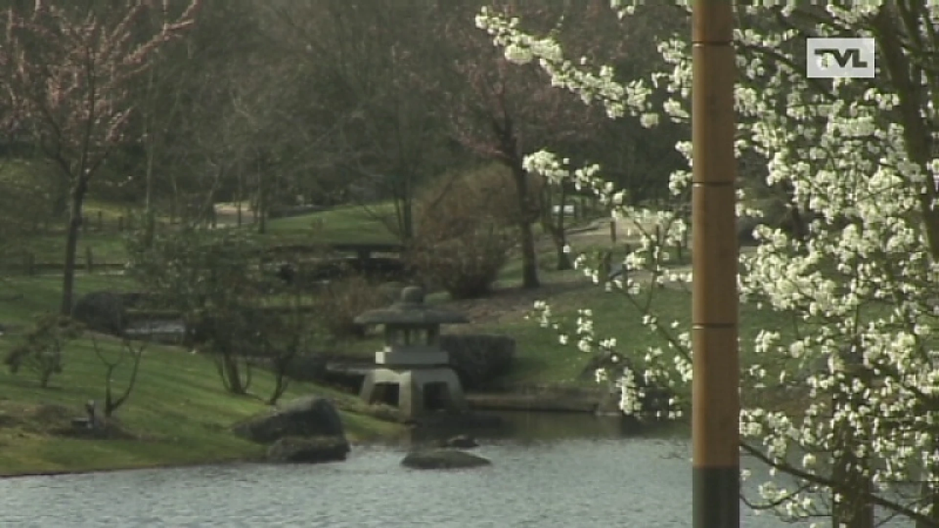 Japanse Tuin Hasselt al vroeg in bloei