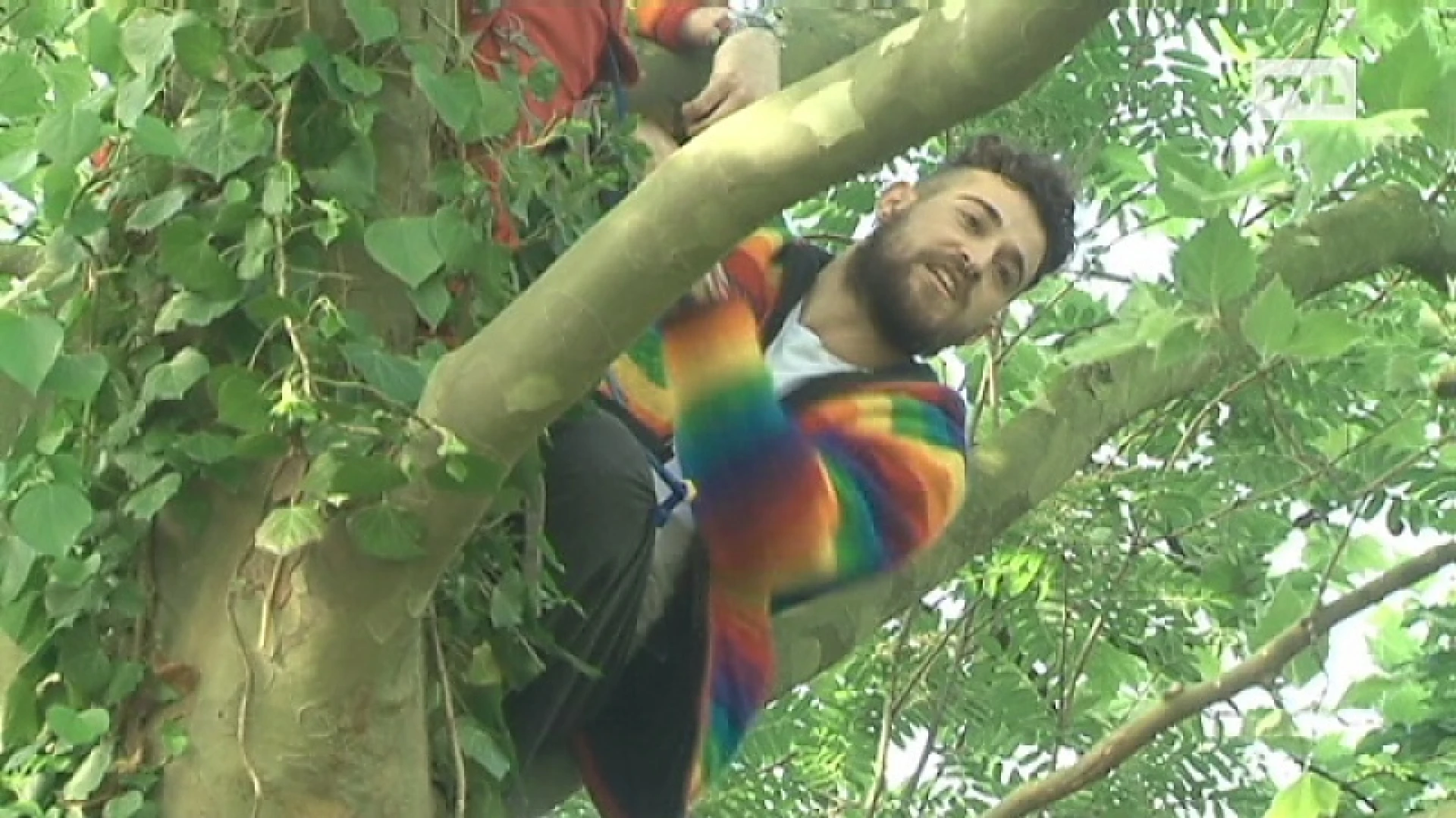 Actievoerders stadspark Hasselt nestelen zich in bomen