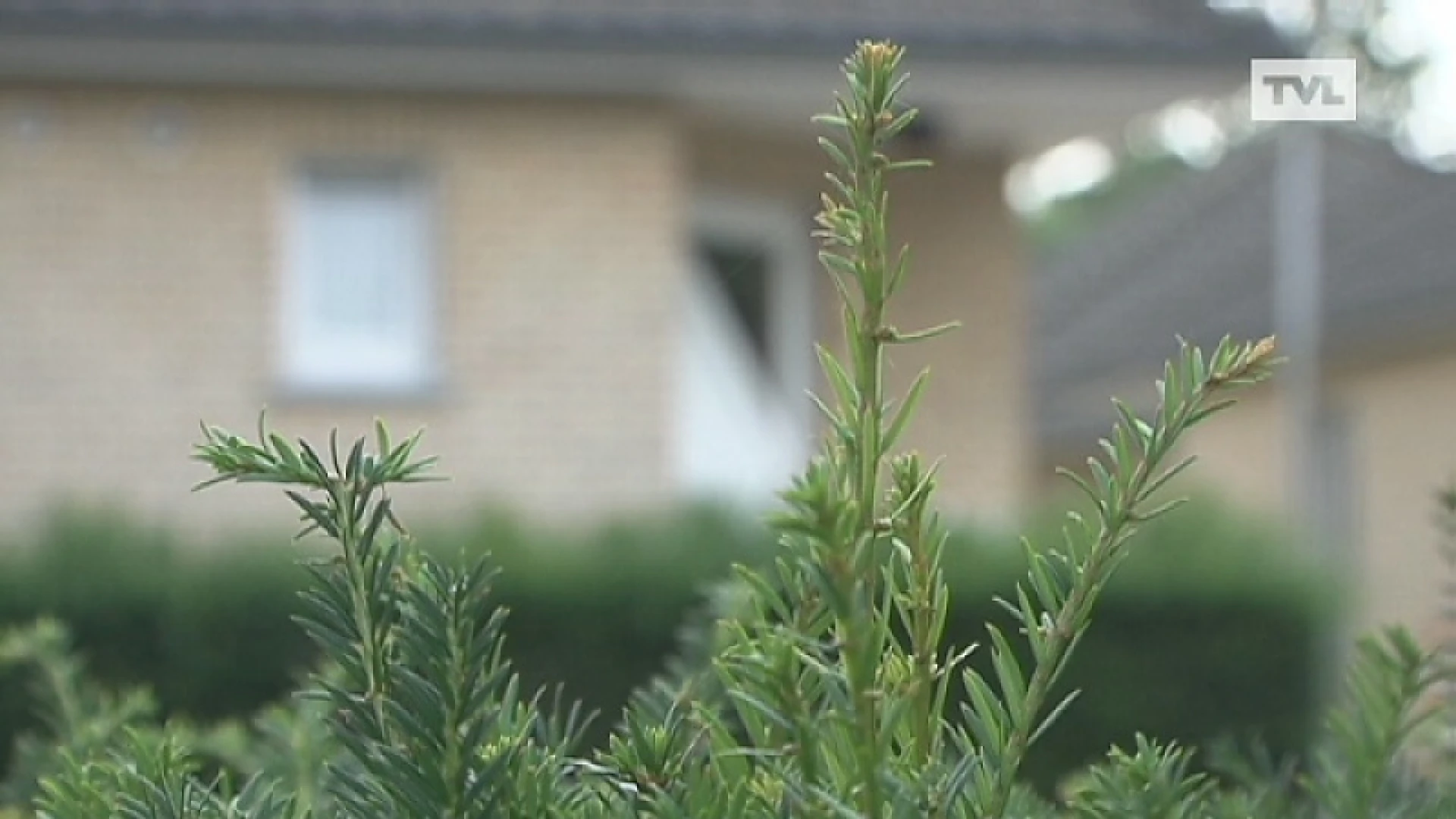 Sociale woningen niet langer voor het leven