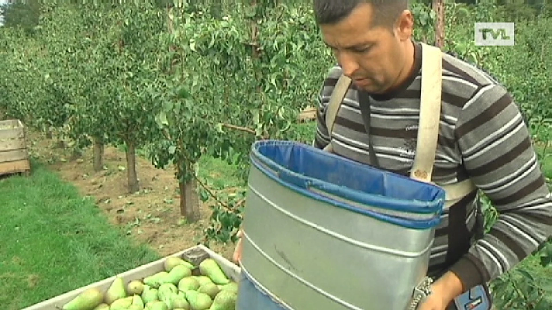 Perentelers krijgen 6440 euro per hectare