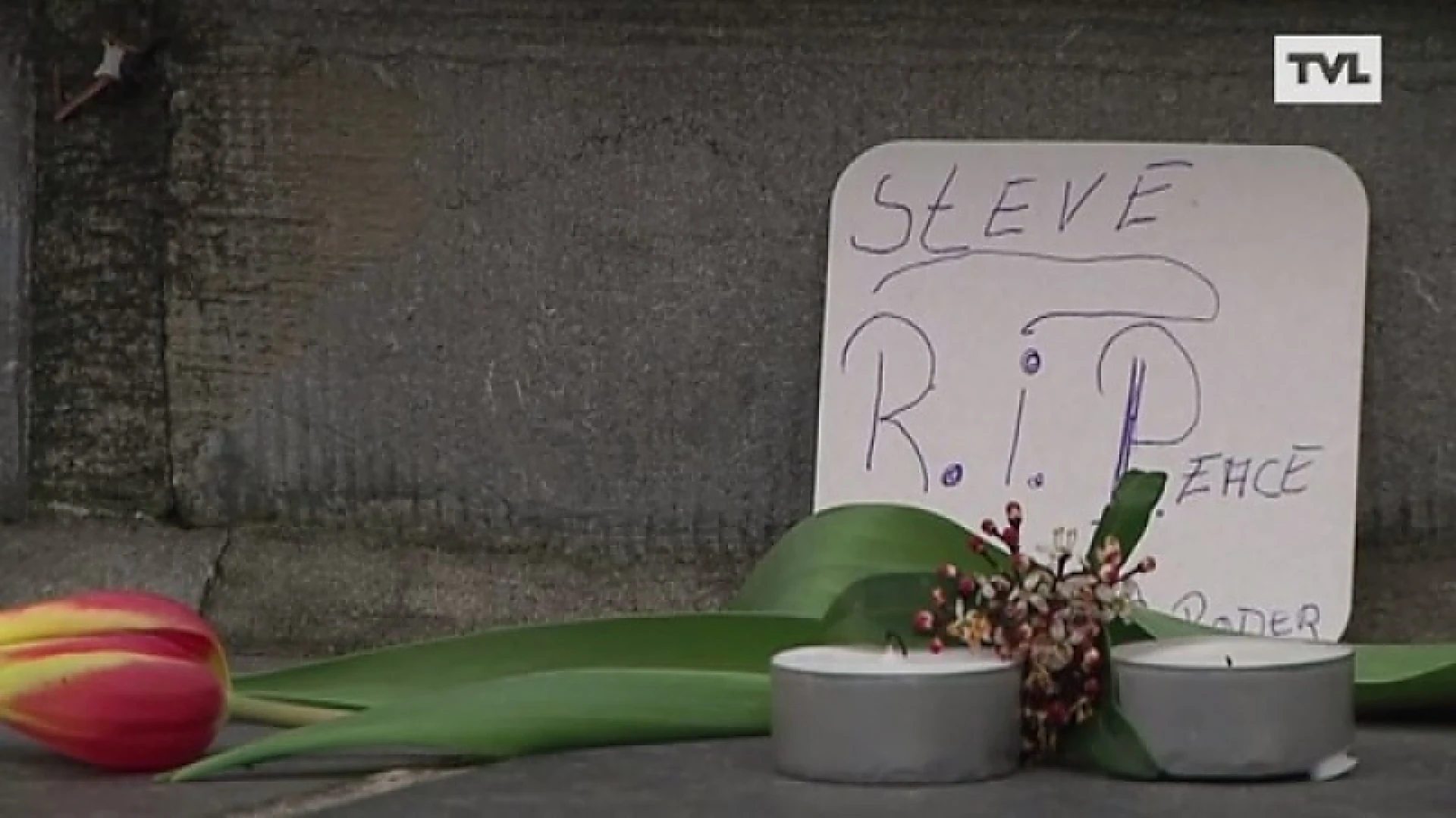 Limburgers tekenen rouwregister voor Steve Stevaert