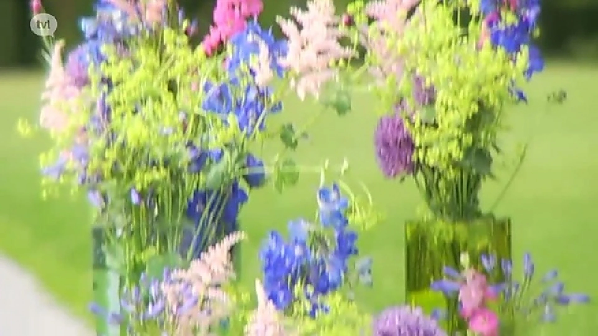 Hoofdafbeelding voor artikel Zomerbloemen