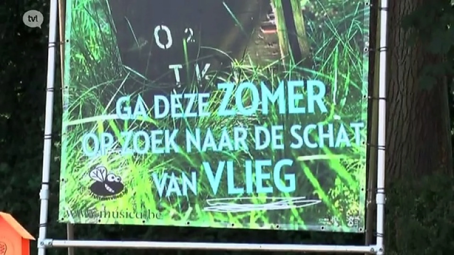 Zomerzoektocht in Neerpelt: Schatten van Vlieg