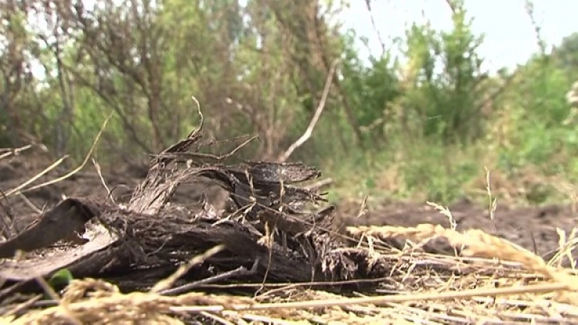 Buurt onder het roet in Wellen