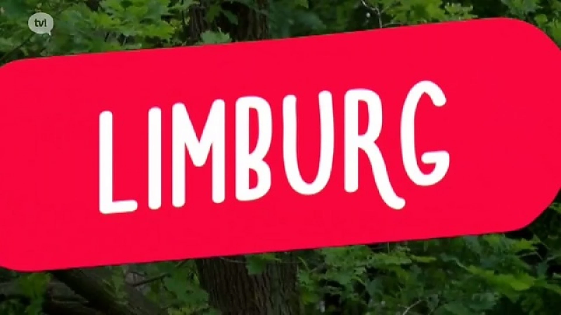 Fan van Limburg 4 augustus 2015