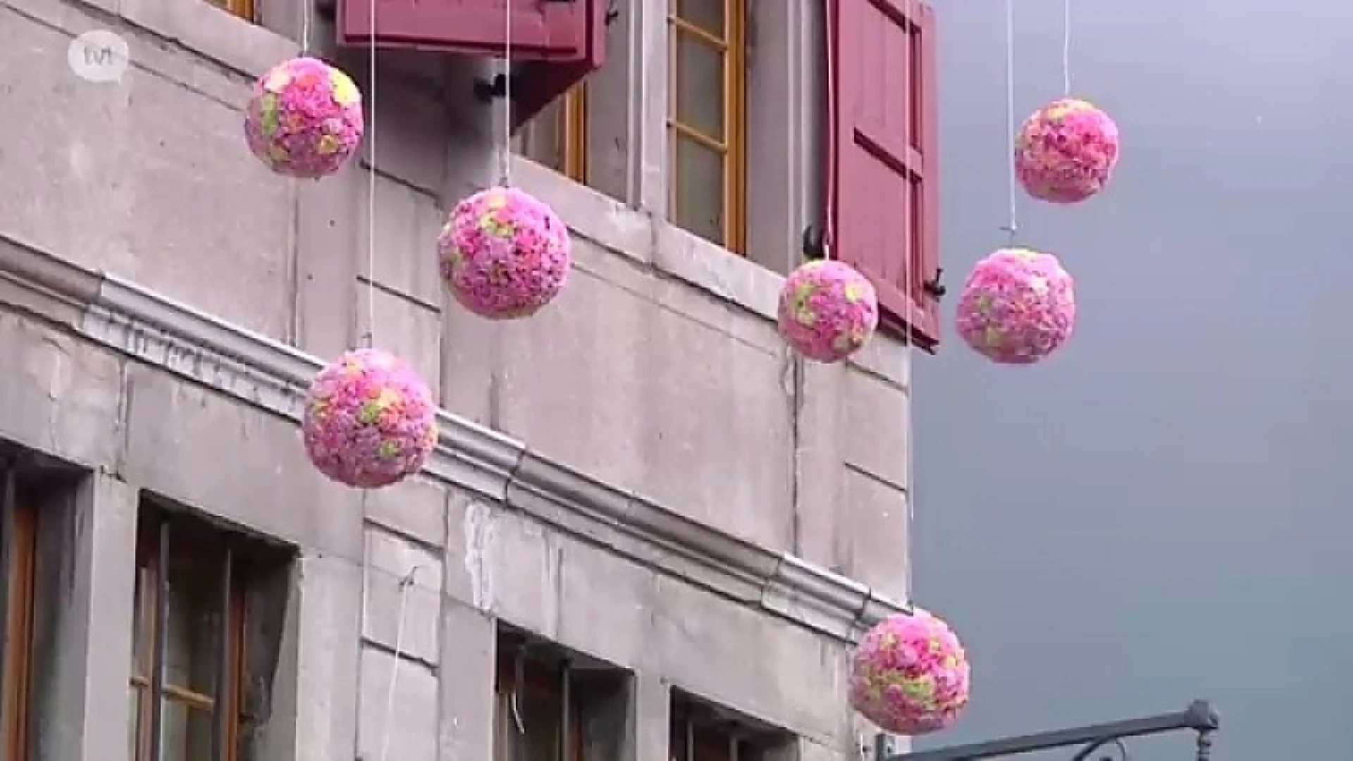 Stadhuis Bilzen versierd met duizenden bloemen