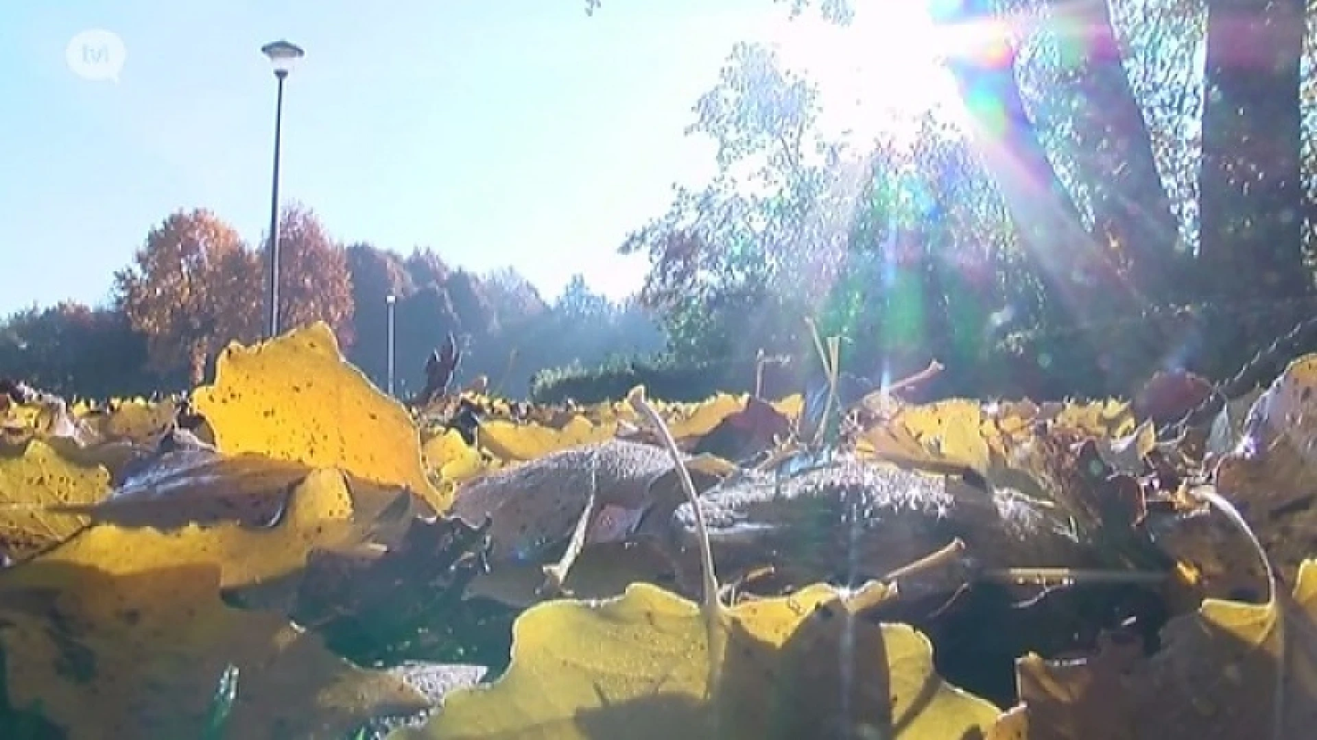Aangenaam herfstweer tijdens de vakantie