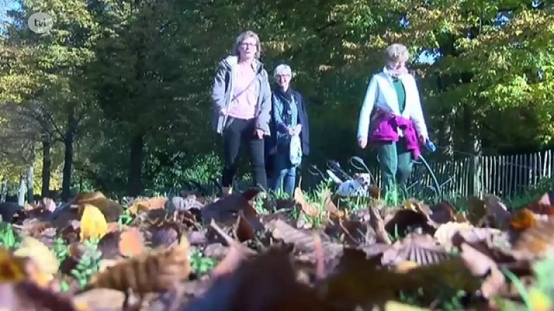 Het lijkt wel zomer: dit weekend 20 graden