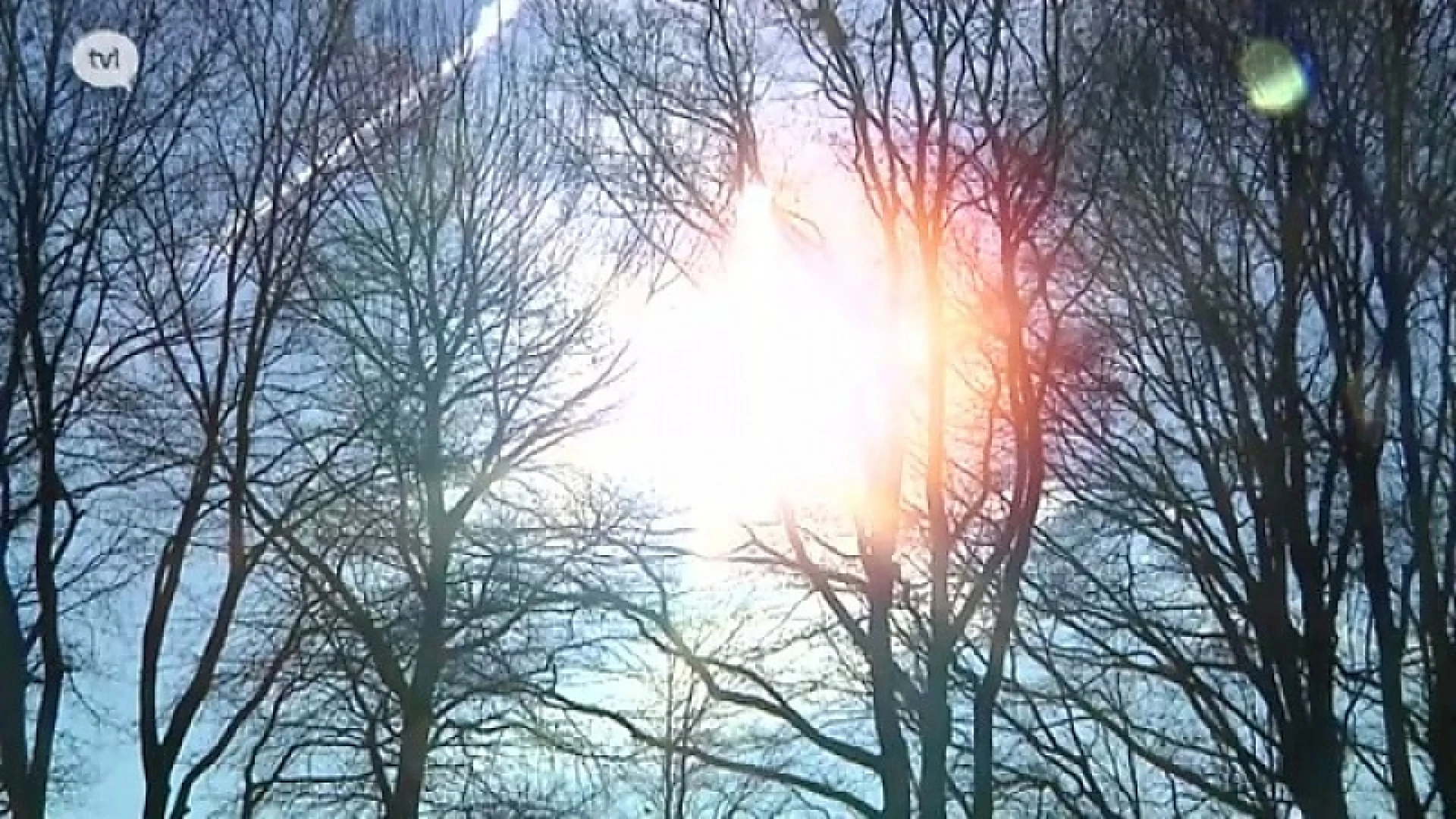 De lente komt al even piepen