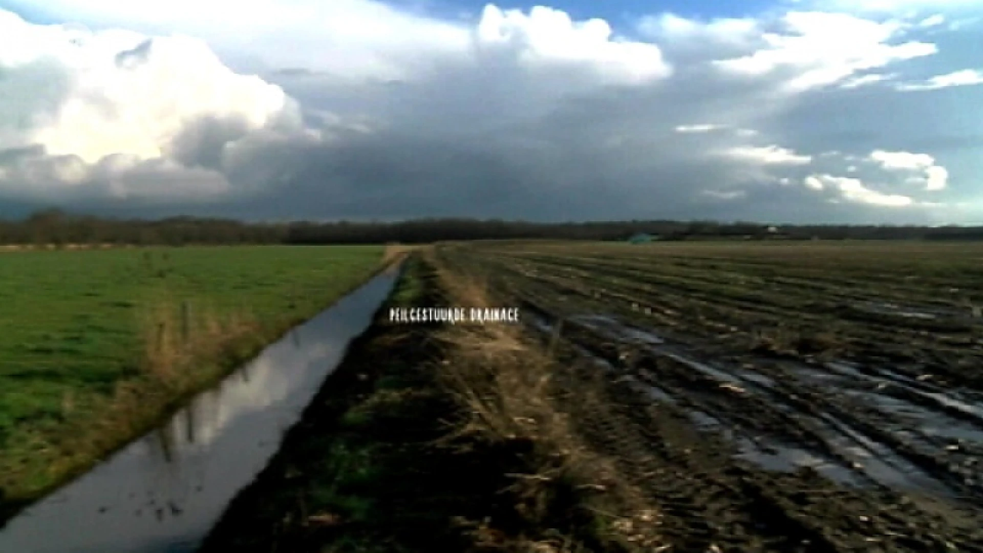 Peilgestuurde drainage