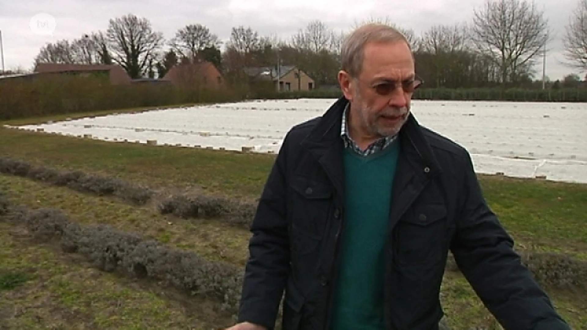 Ondernemen na 65 jaar, willen maar niet durven?