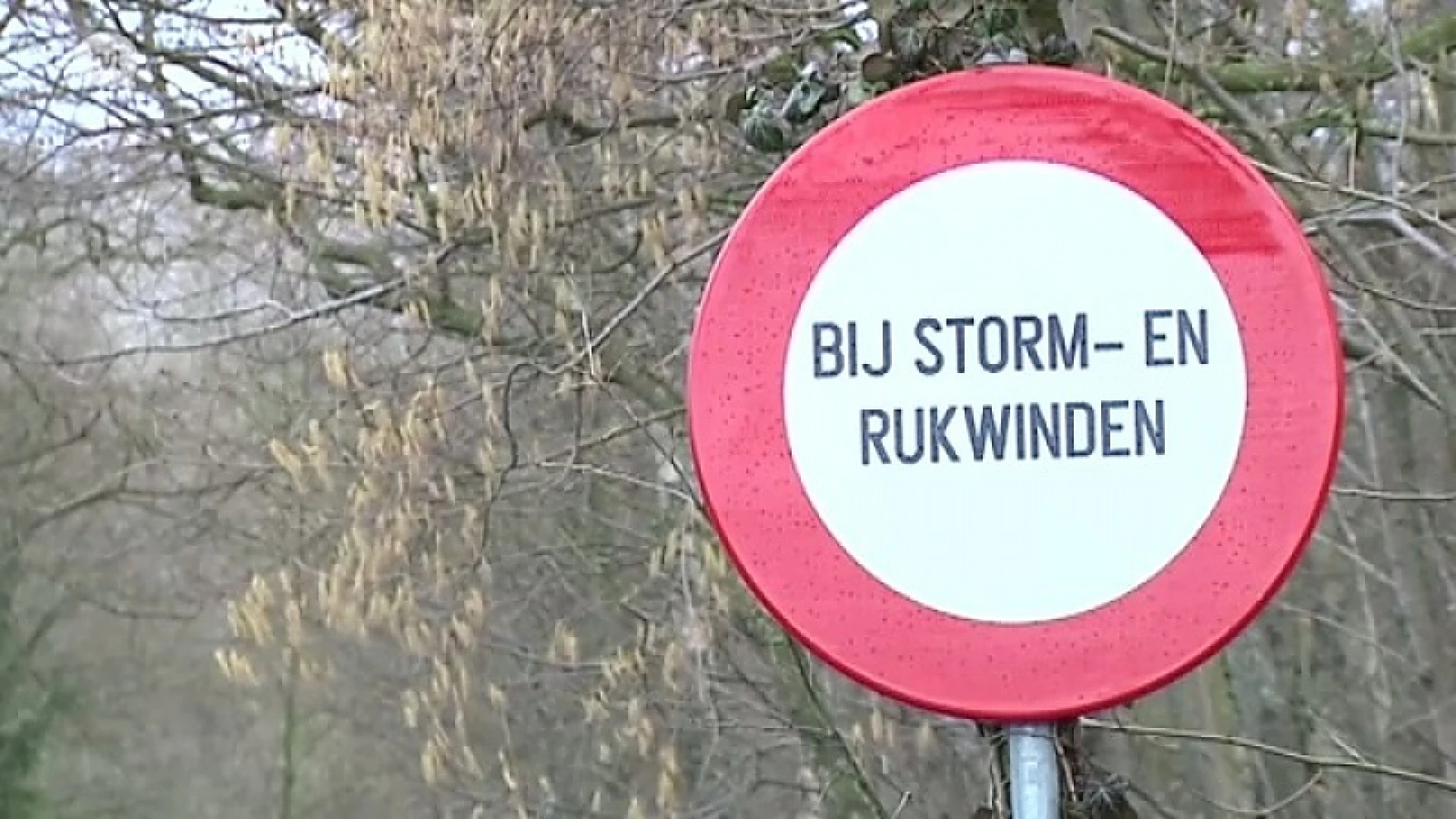 Tegen het einde van de week naar 20 graden