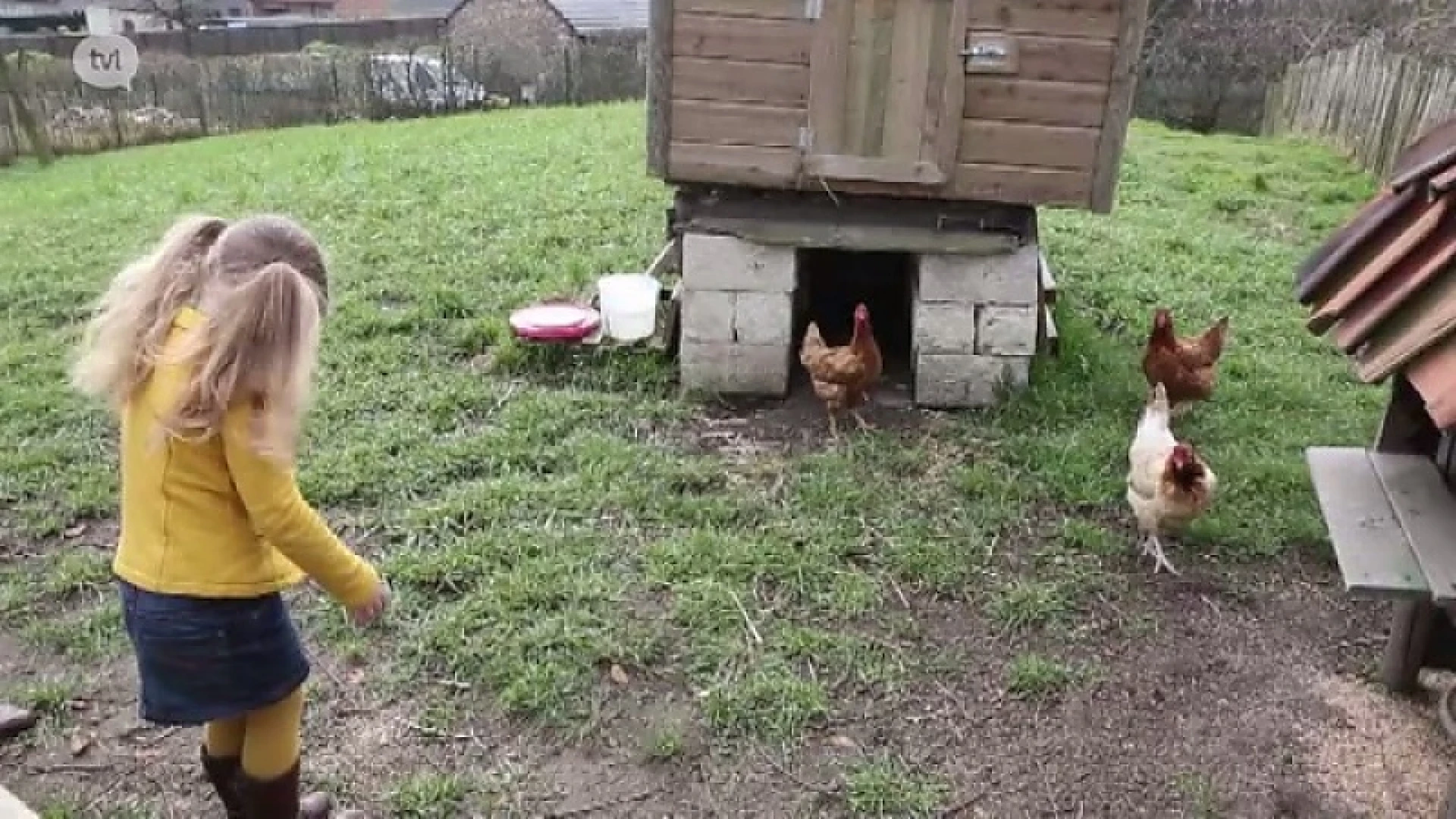 Boerderijen krijgen een nieuw leven ingeblazen