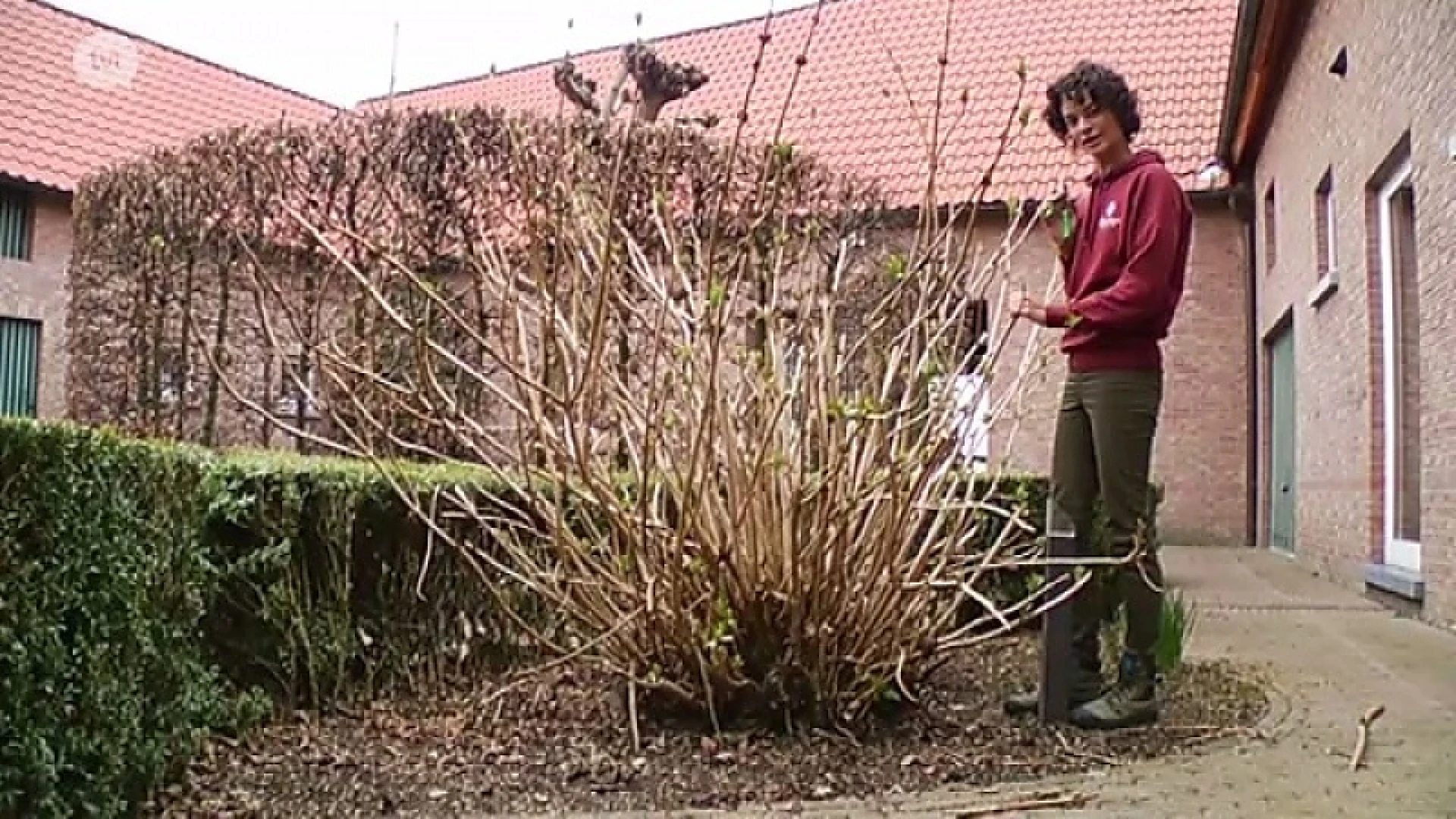 Natuurlijk!