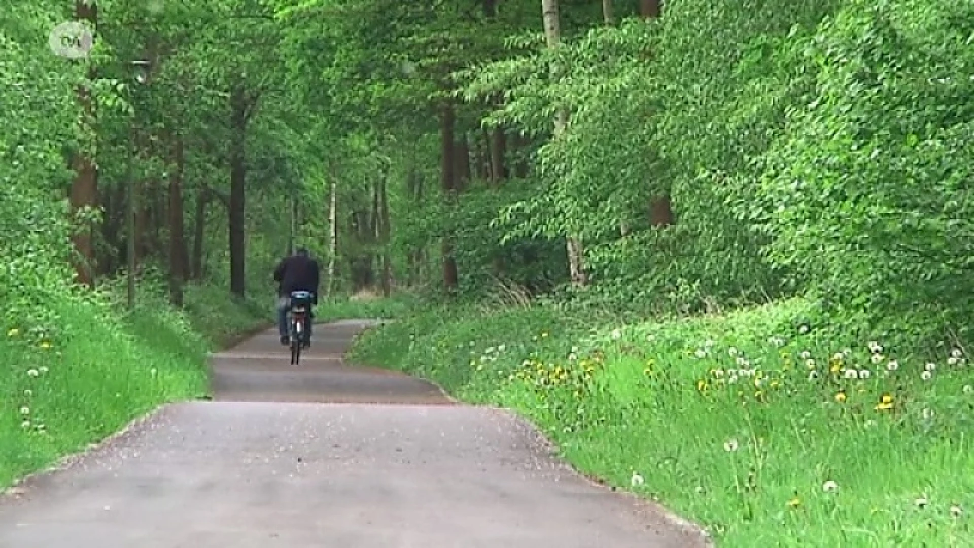 Exhibitionist teistert Ham