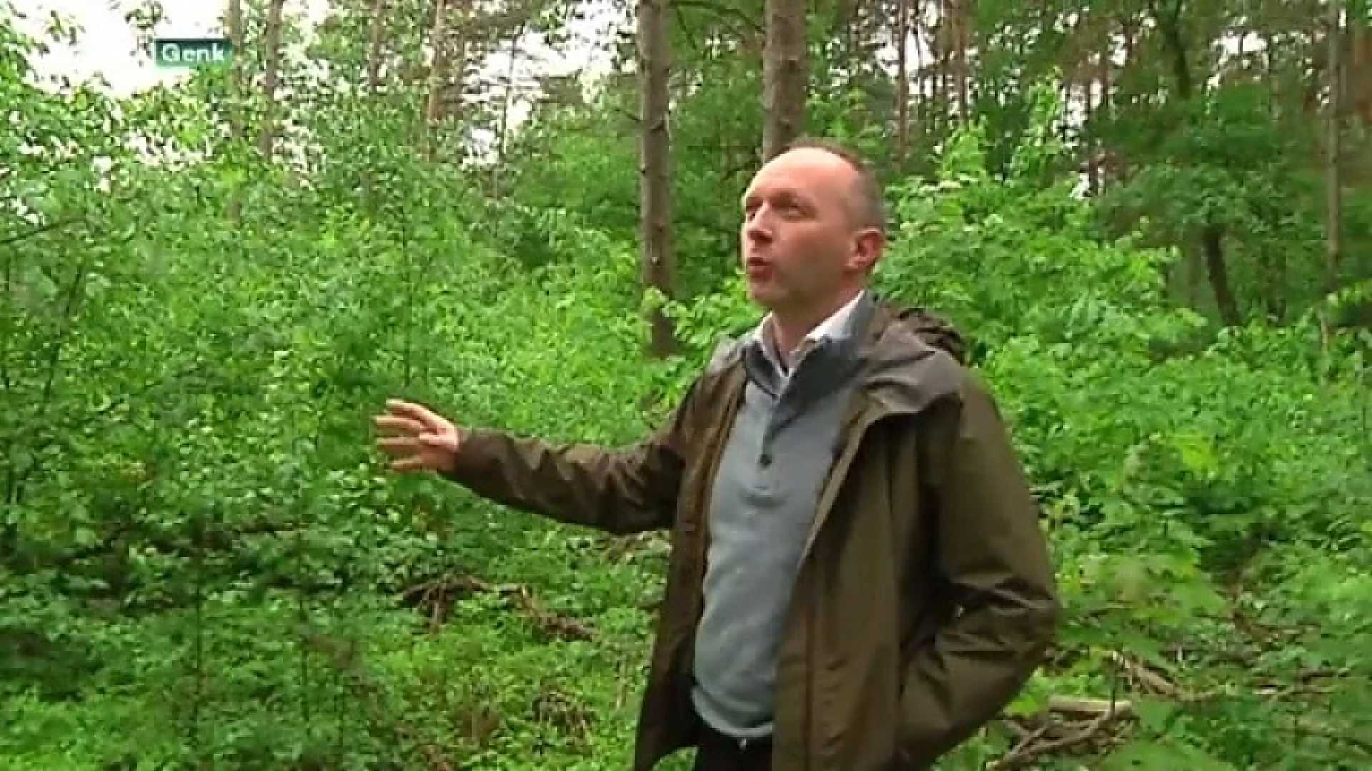 Exclusieve rondleiding in het Essersbos: waardevol natuurgebied of waardeloos braakland?