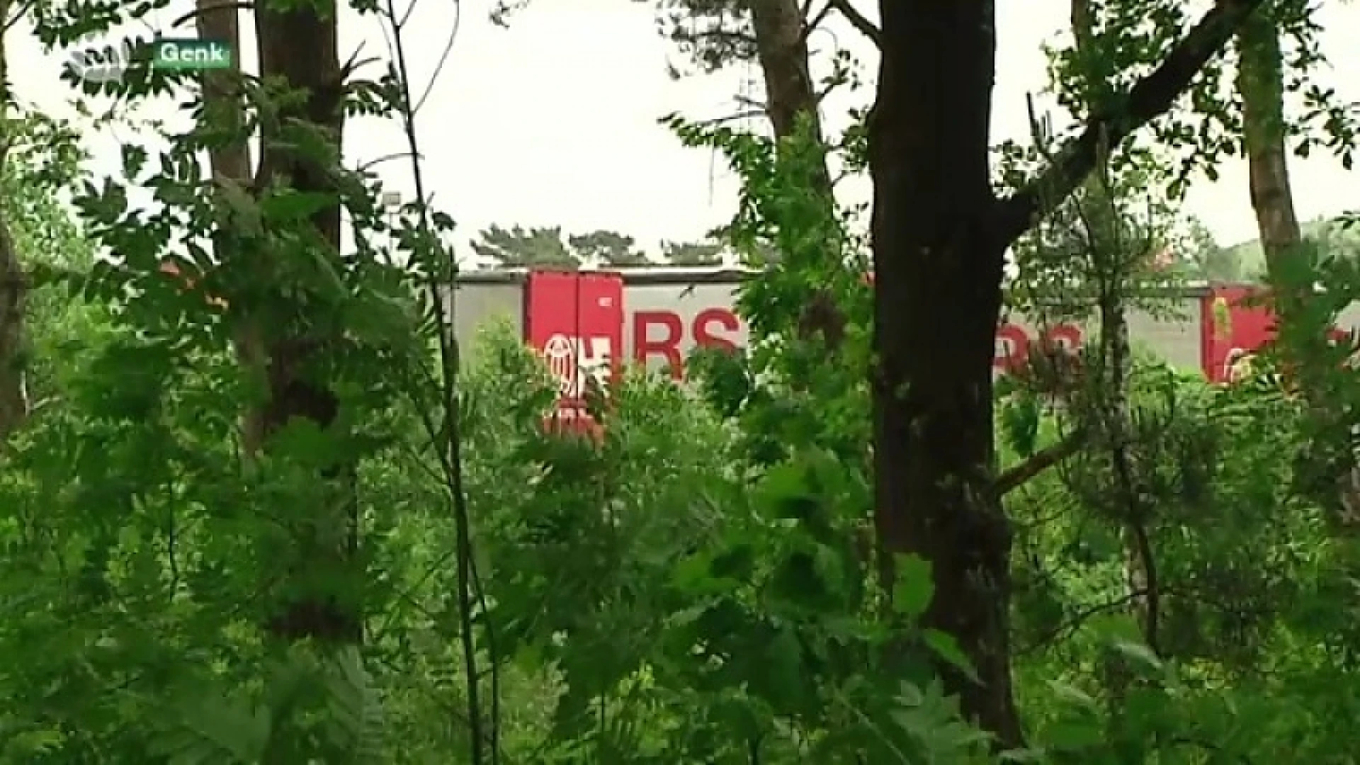 Essersbos: Natuurpunt dient dossier bij Raad van State in