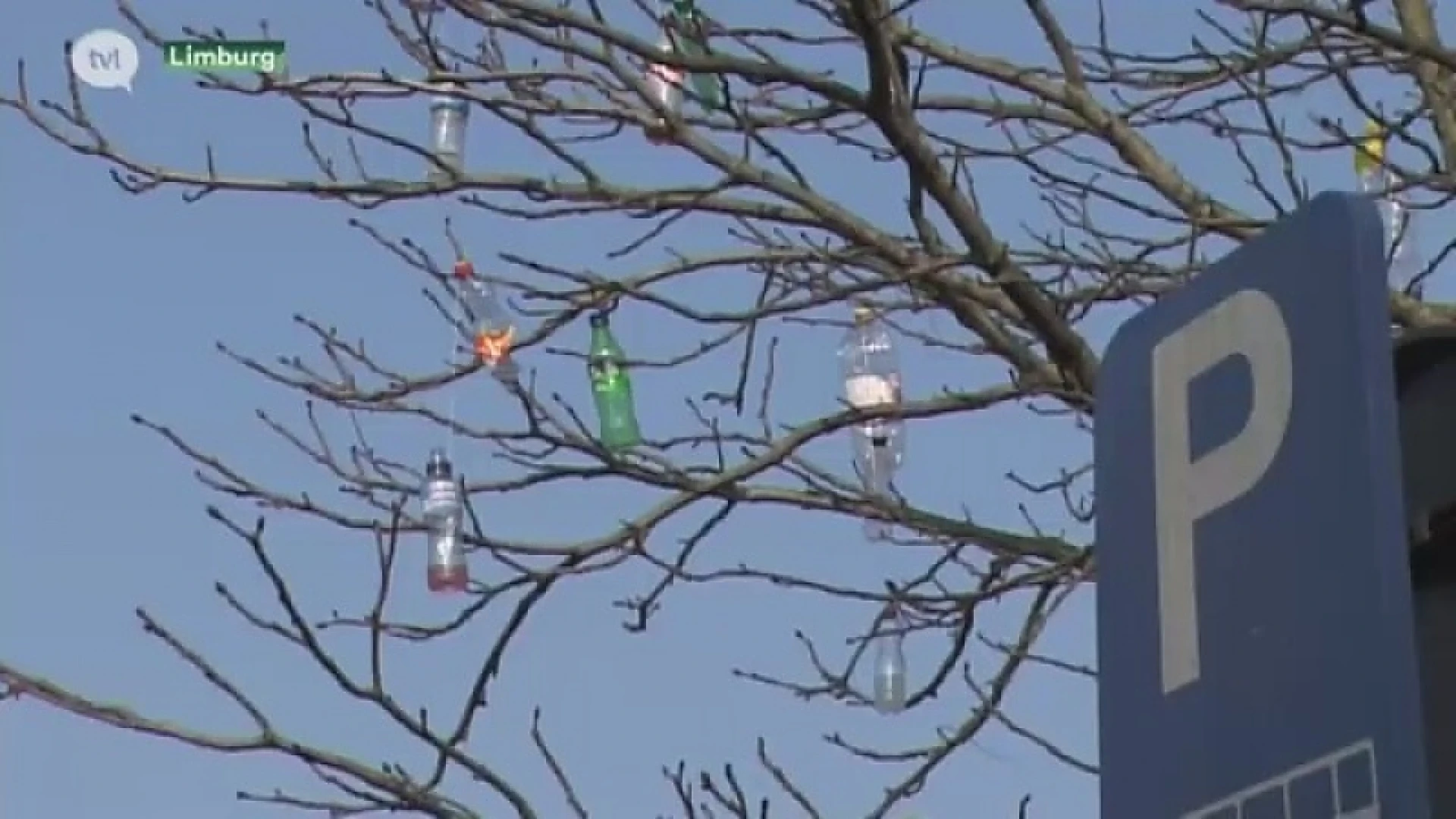 Statiegeldbomen van Toon Eerdekens worden gekapt