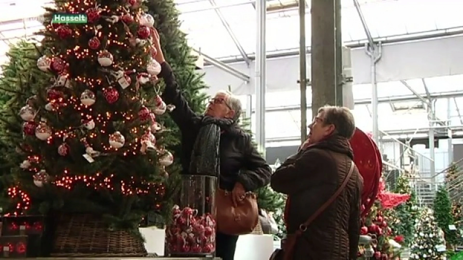 Rush op kerstbomen is begonnen