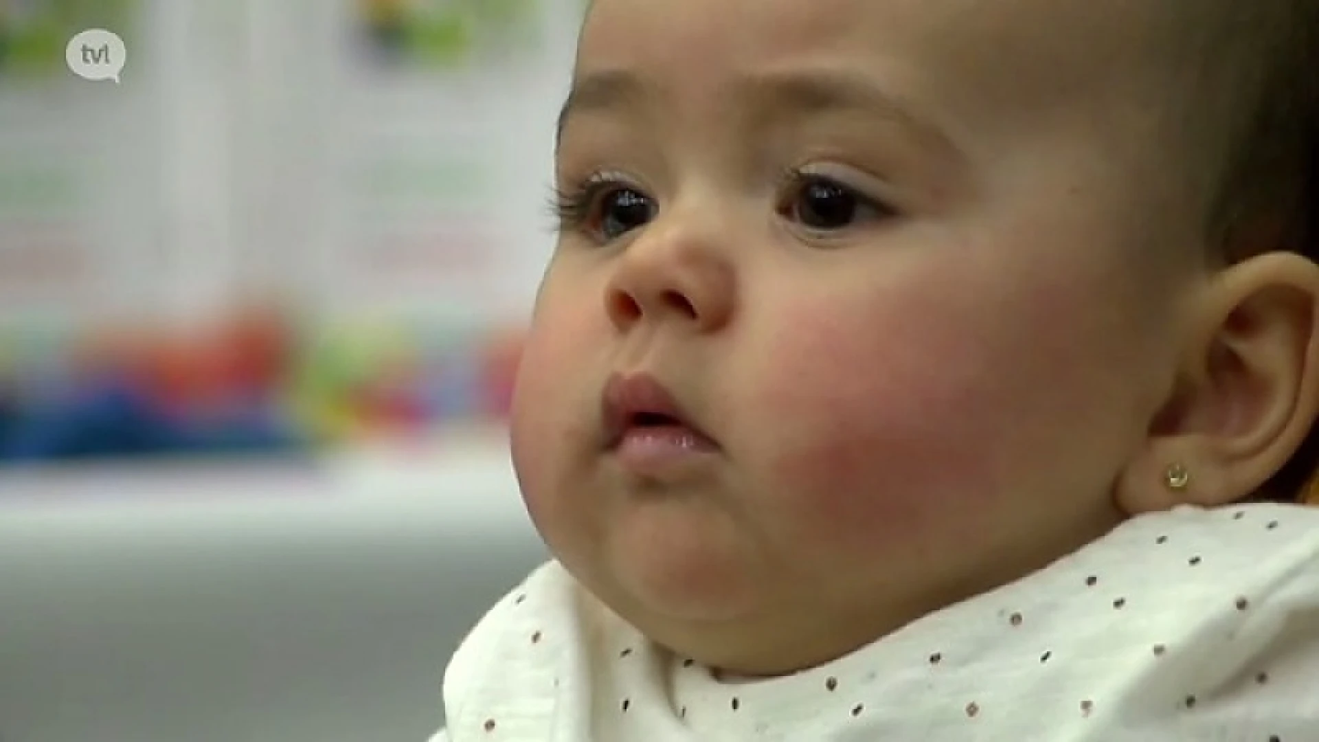 Hoofdafbeelding voor artikel Fan van Limburg: 23 februari…