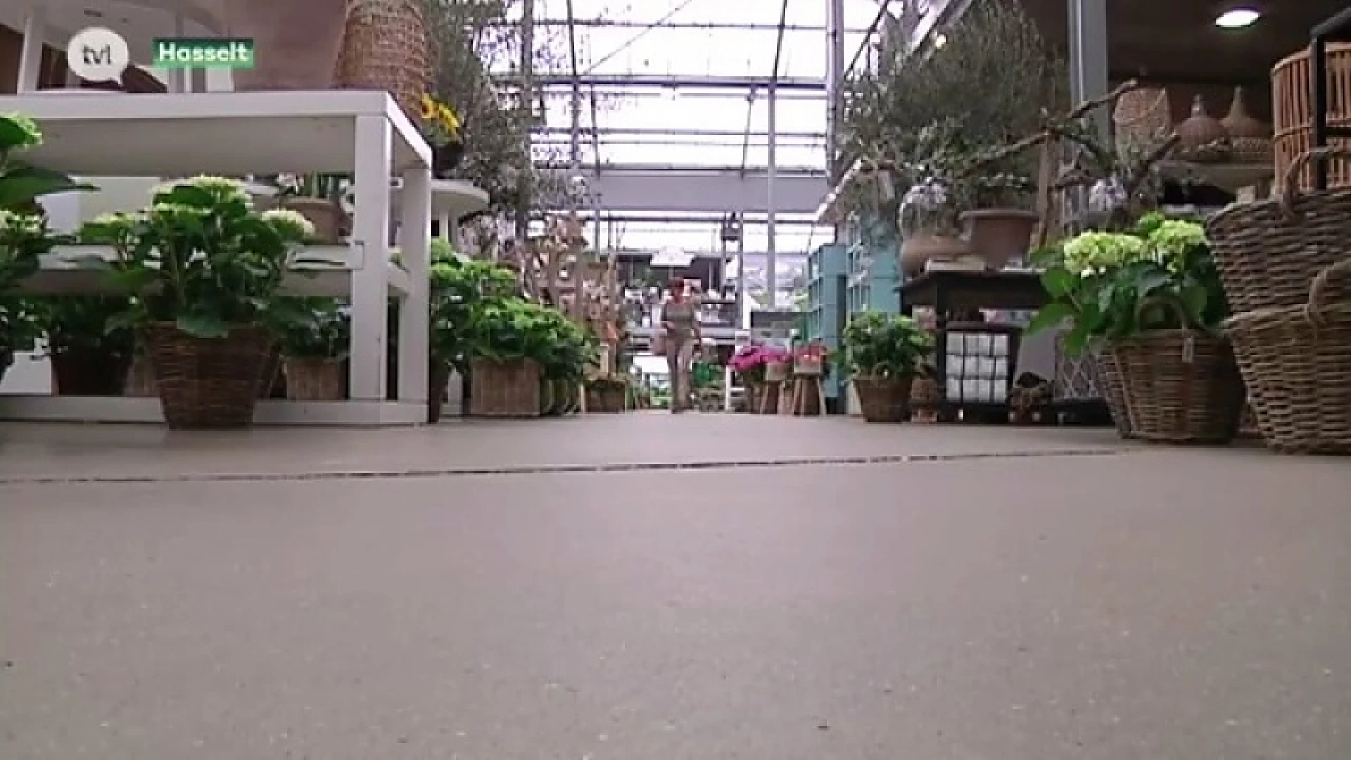 Plantencentrum Thomas in Hasselt definitief dicht op maandag na klacht van concurrent