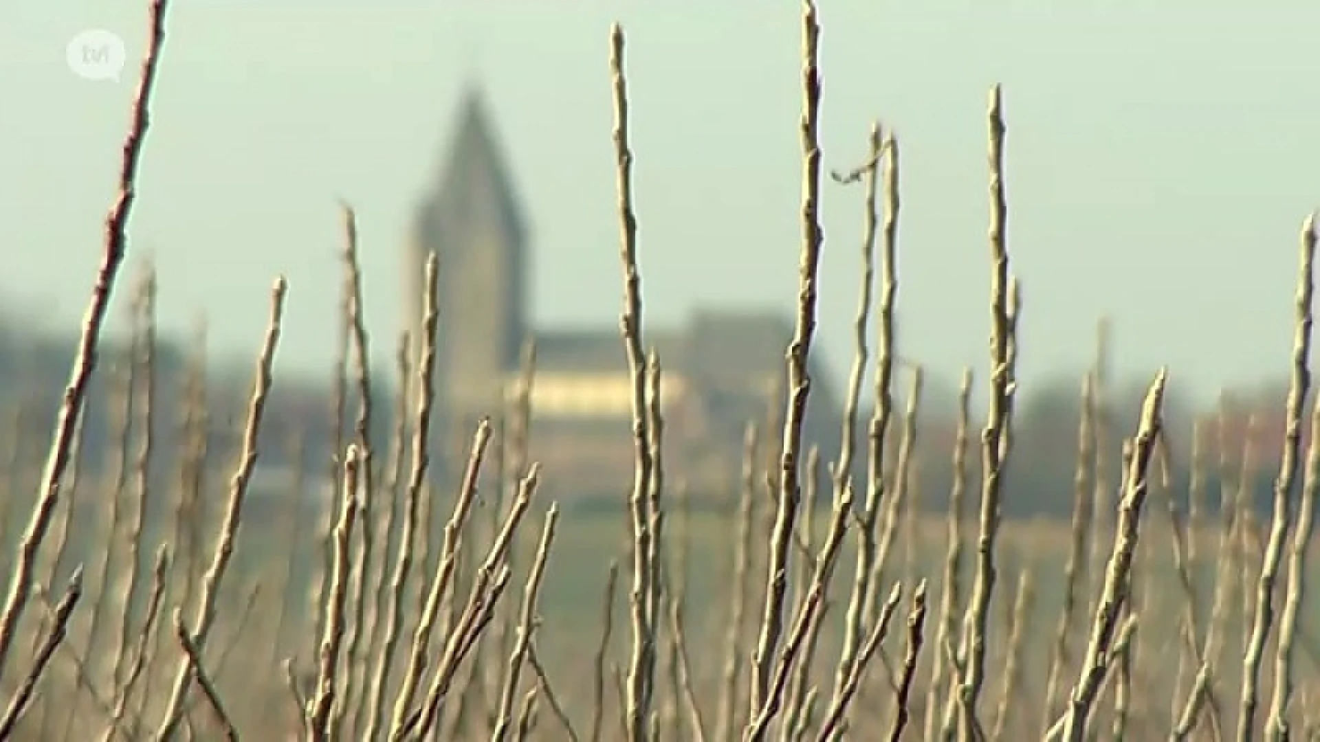 Fan van Limburg: 2 maart 2017