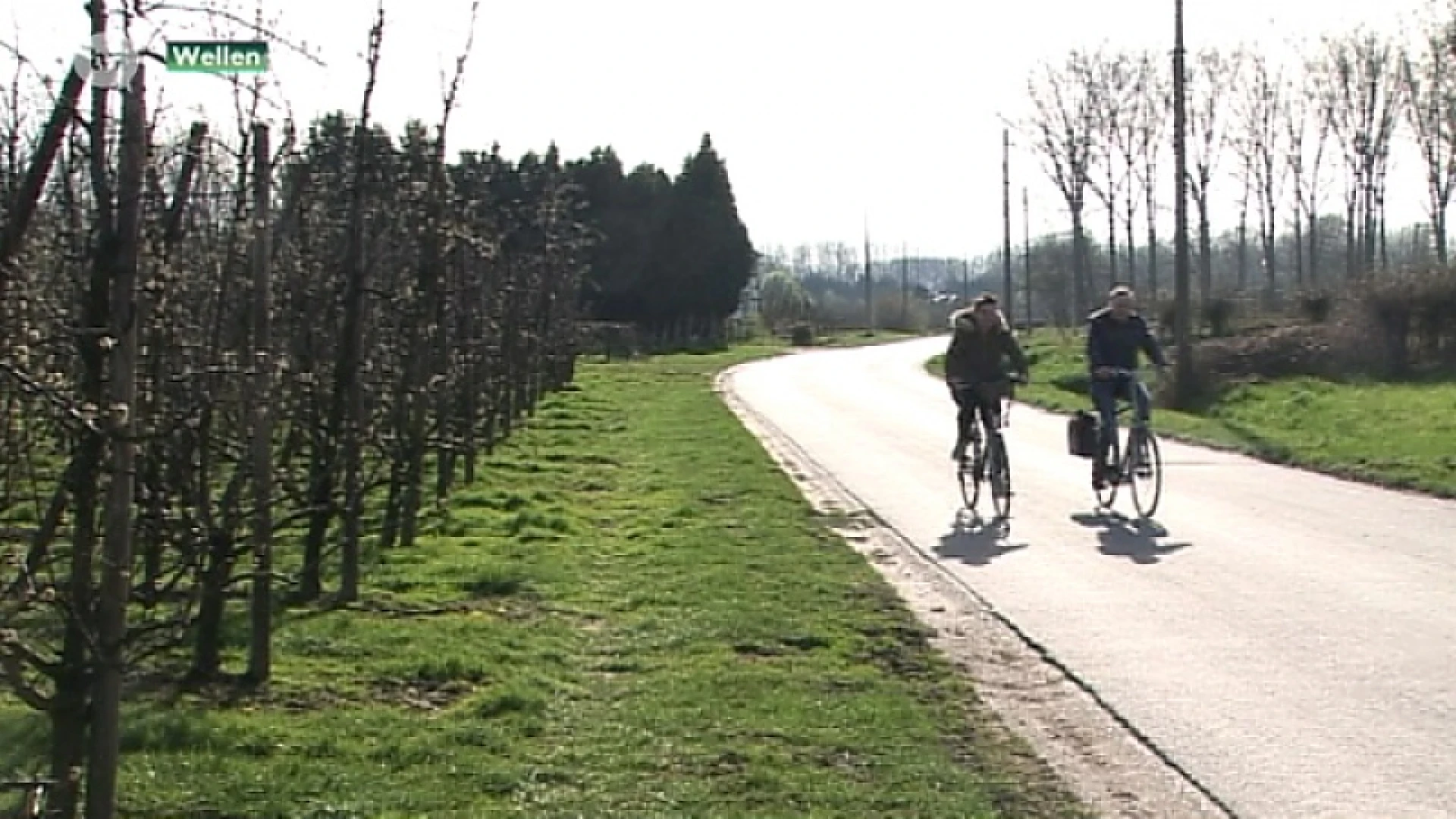 Bloesems iets vroeger door het mooie weer