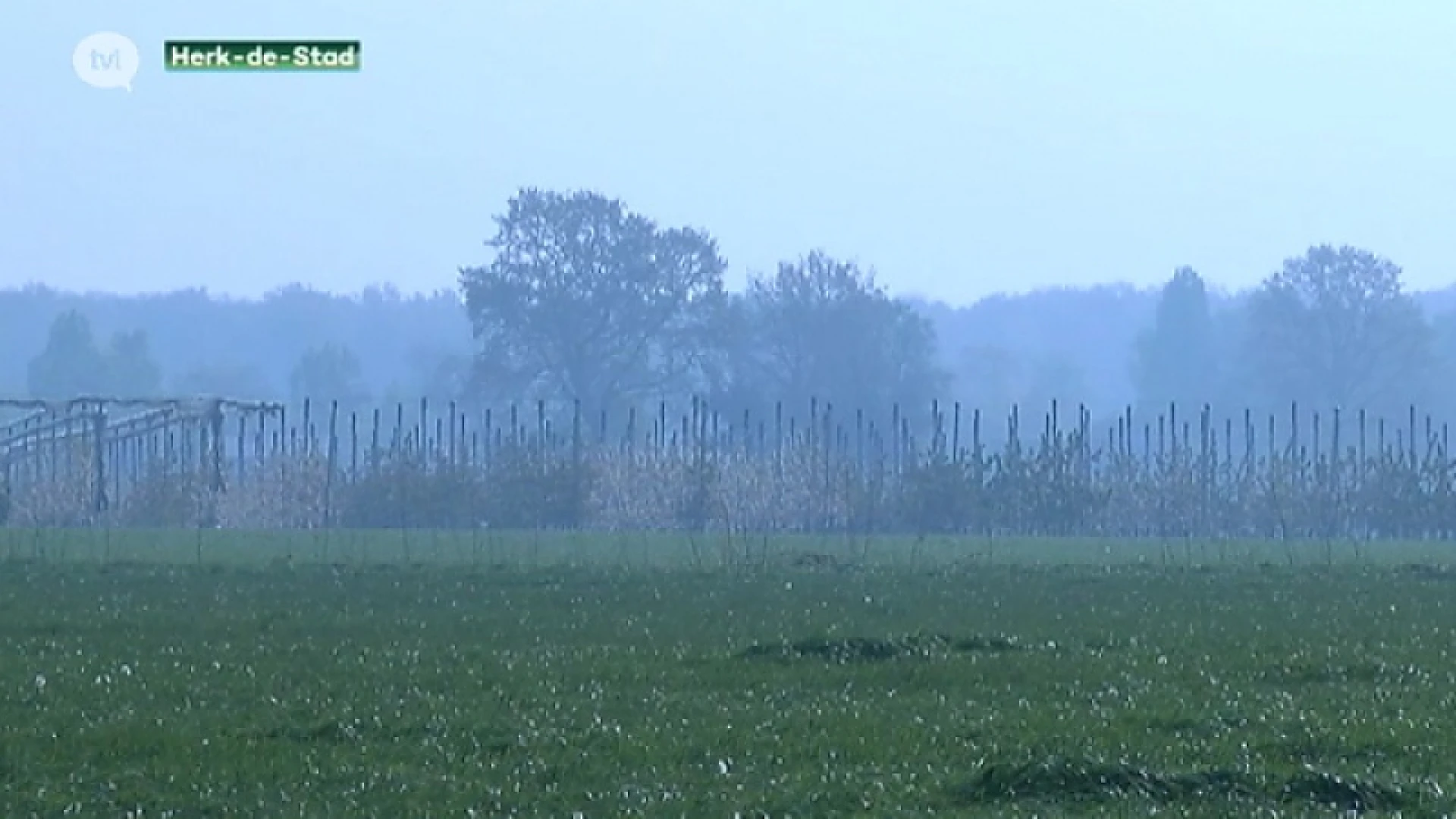 Smog over Limburg door anti-vriesvuren van fruittelers
