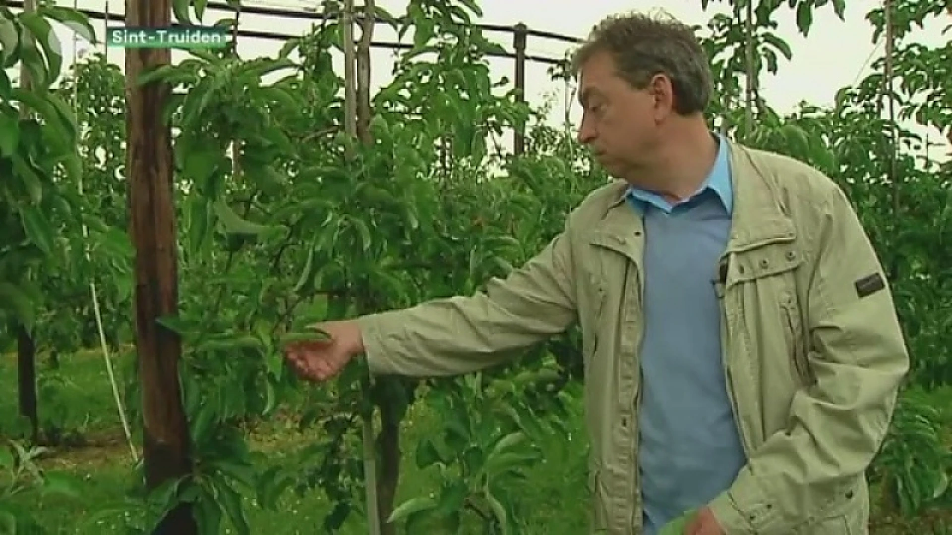 Rampjaar voor de fruitboeren