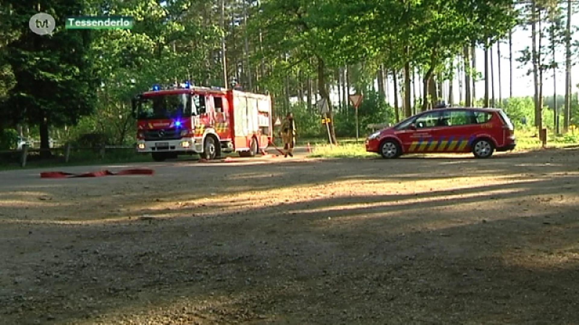 Brandweer massaal naar bosbrand Tessenderlo