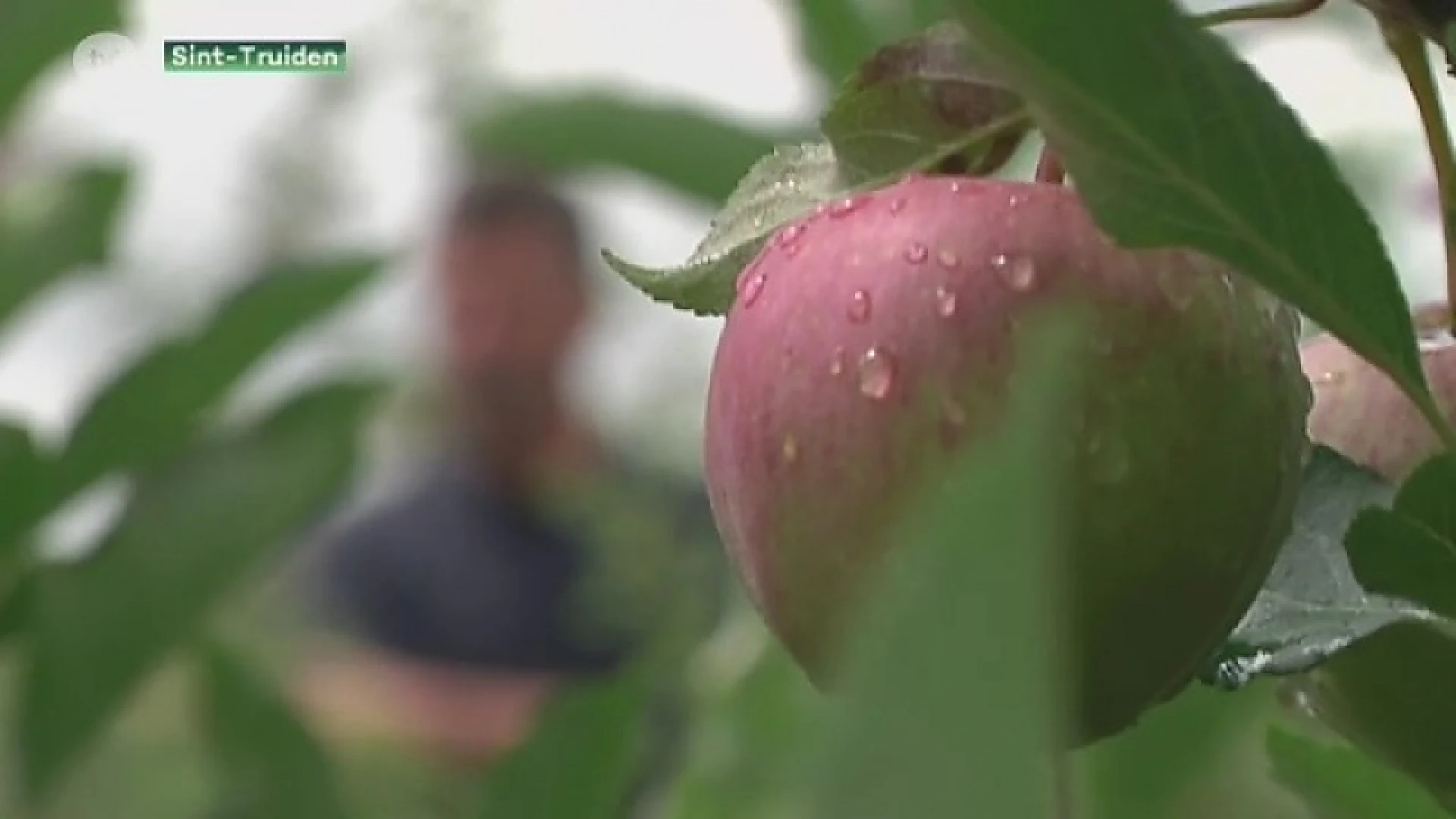 Steeds meer landbouwers worden bioboer