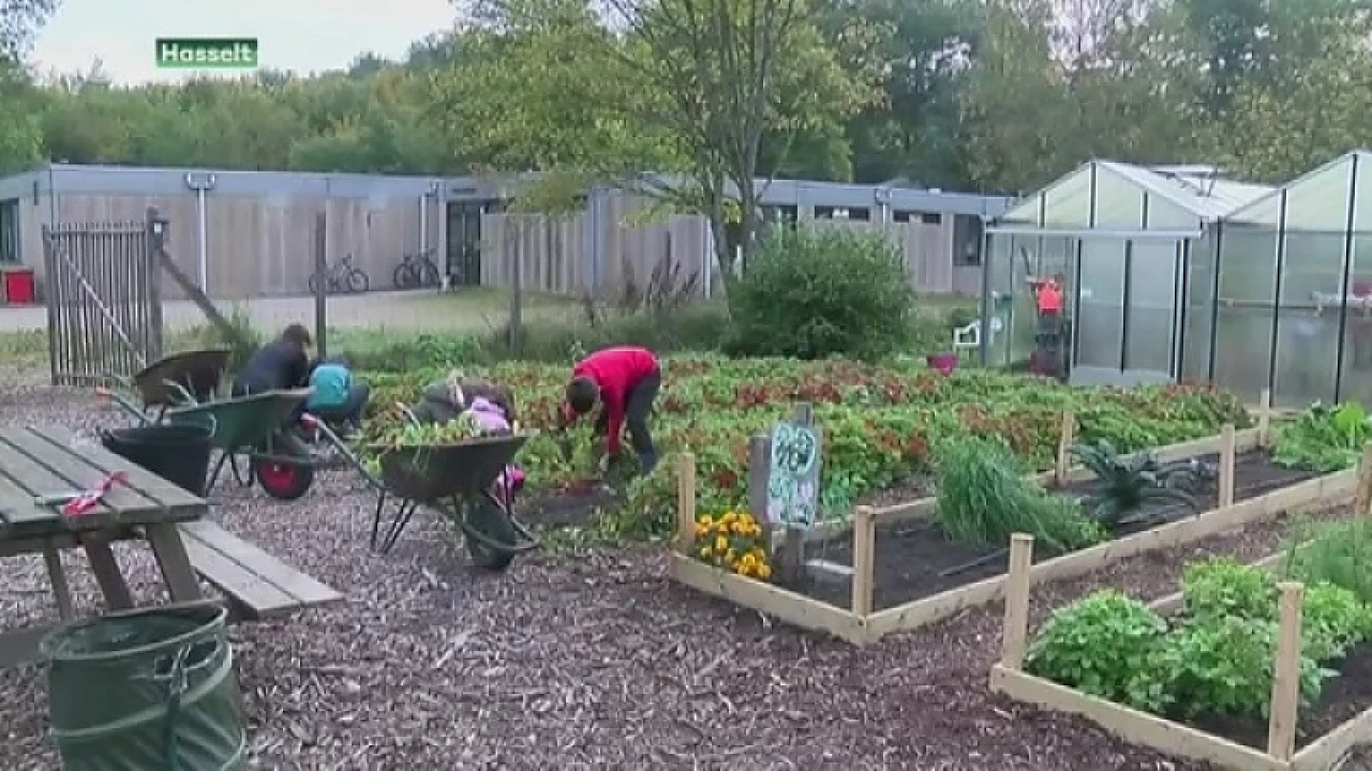 Moestuin zorgt dat leerlingen KIDS helemaal openbloeien