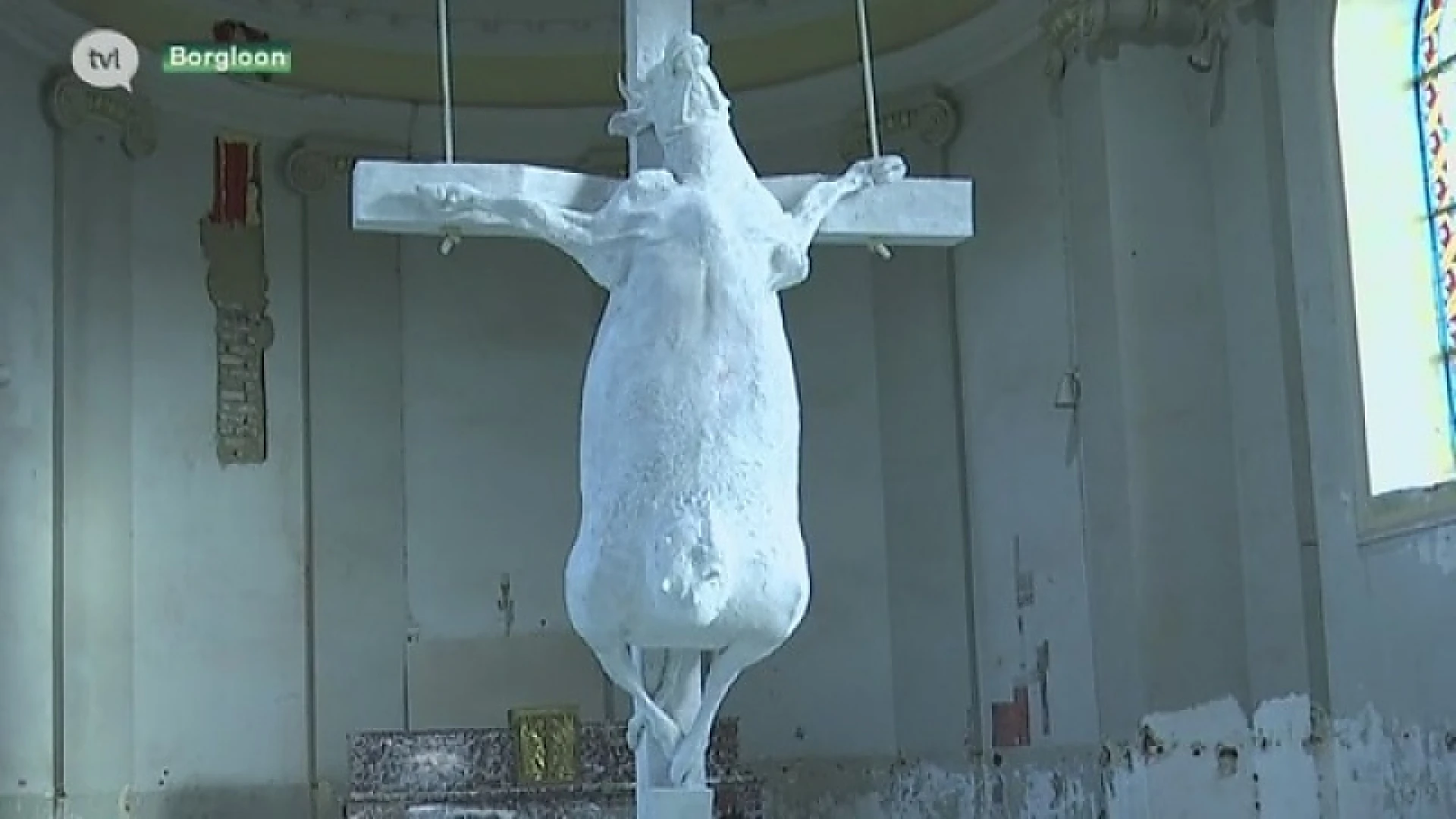 Holy Cow! Kunstenaar Tom Herck kruisigt koe in kapel in Borgloon