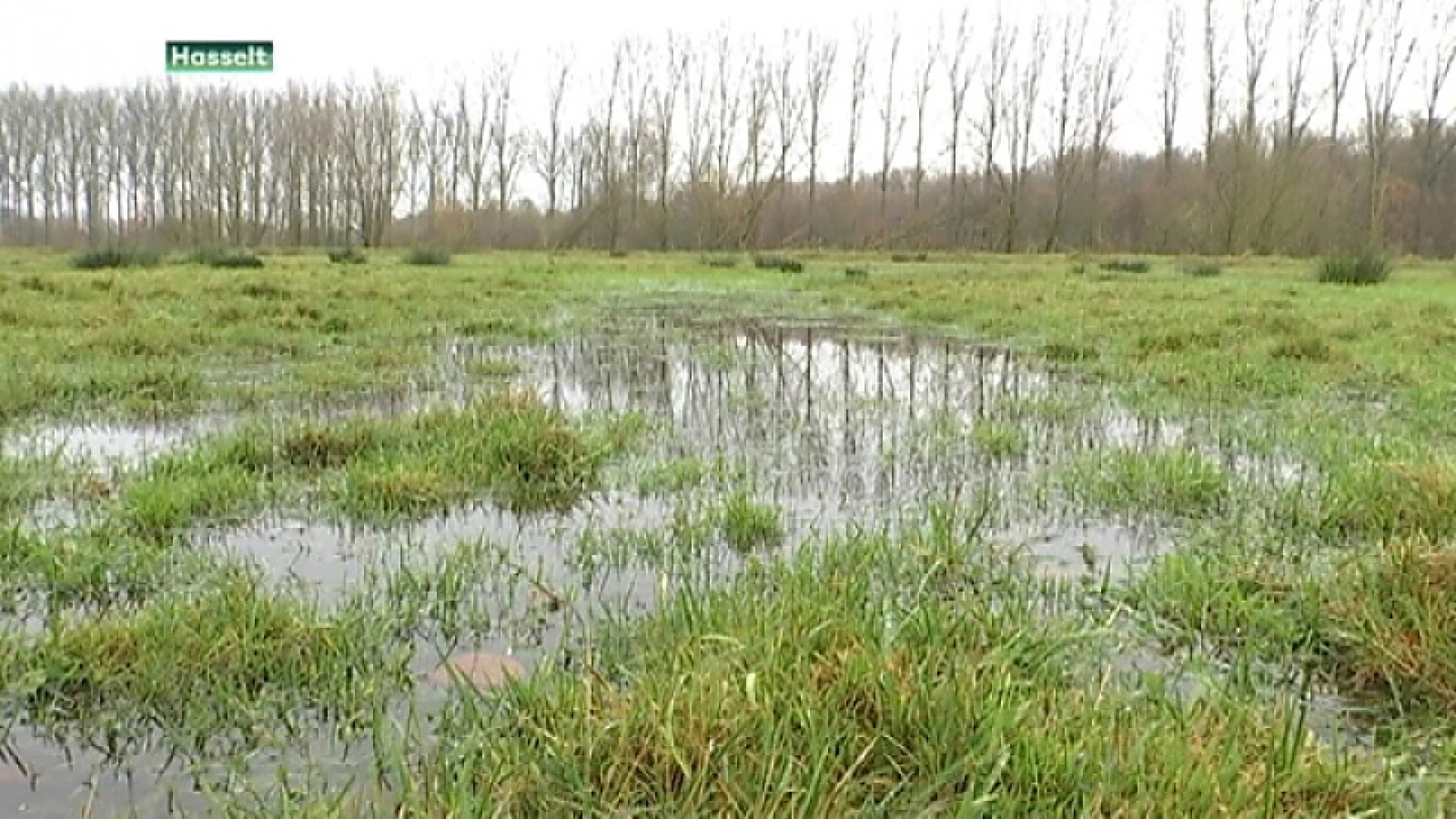 Slecht onderhoud zorgt voor wateroverlast in omgeving van Herkenrode
