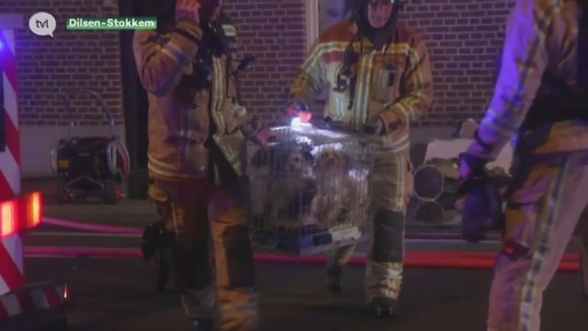 Hondjes gered uit woningbrand in Rotem
