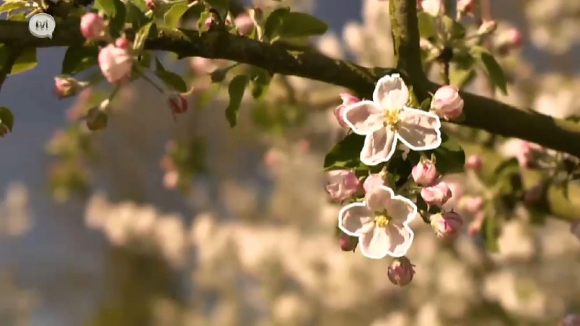 Natuurlijk!: Aflevering 2