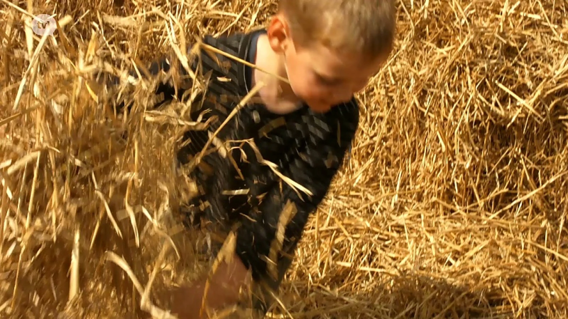 Agricultura: platteland is blits en boeiend