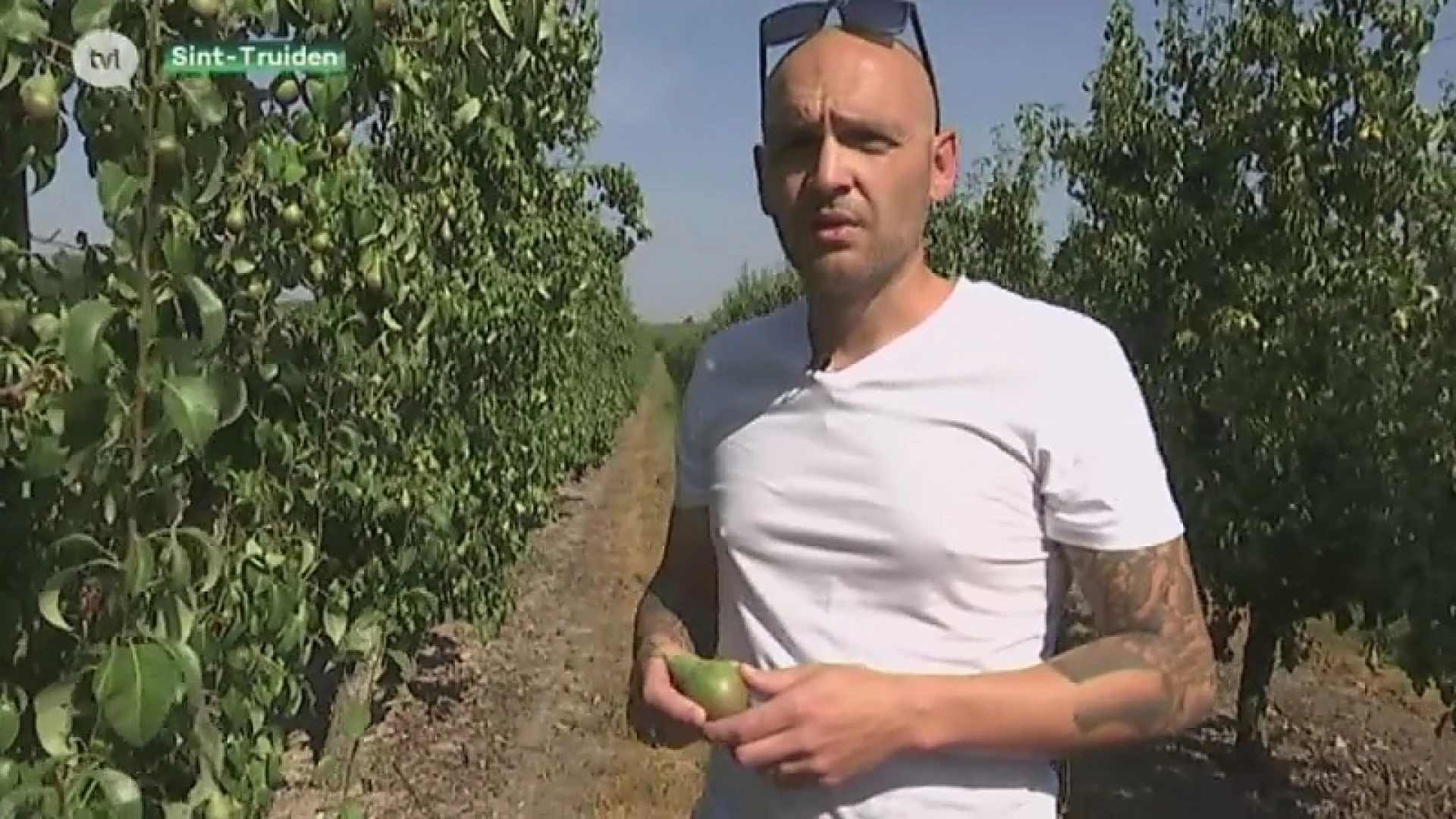 Fruit bewaart minder goed door aanhoudende hitte. Wat moet je doen?